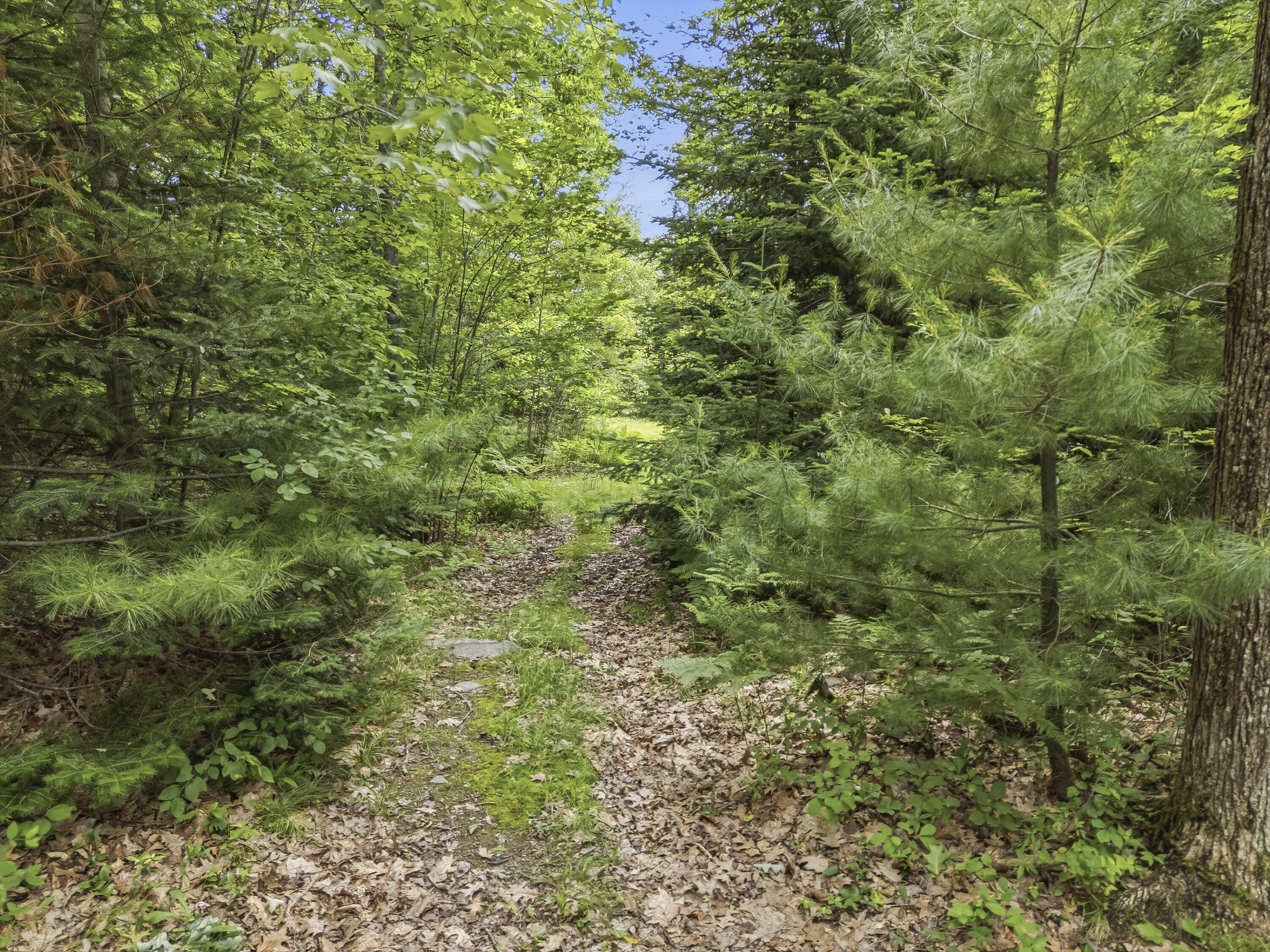 225 Morrill Road