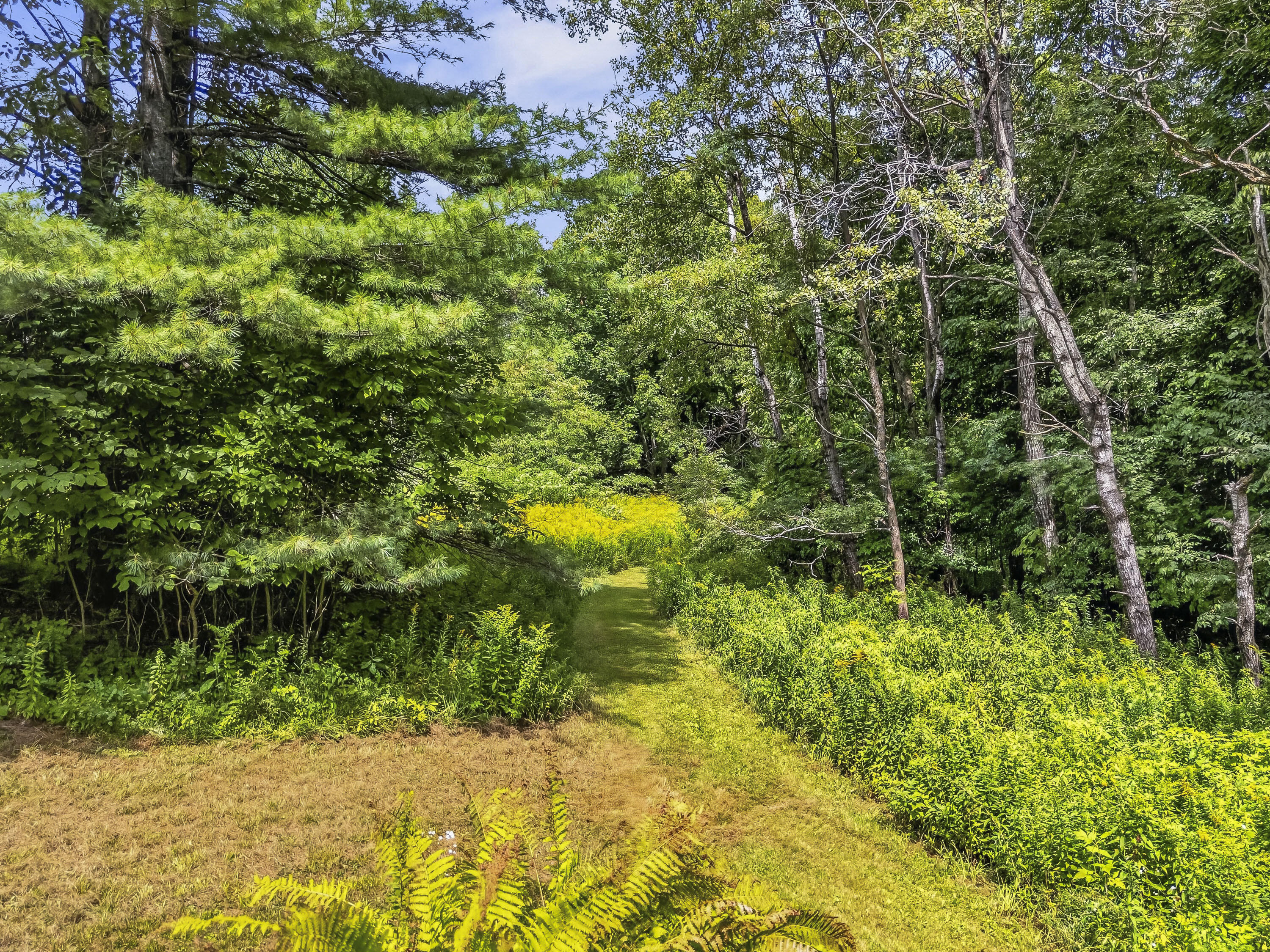 117 Nickerson Hill Road