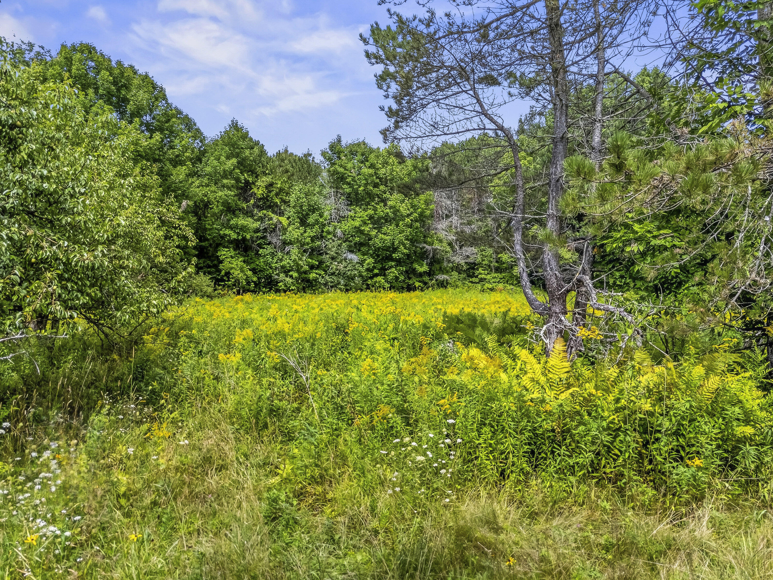 117 Nickerson Hill Road