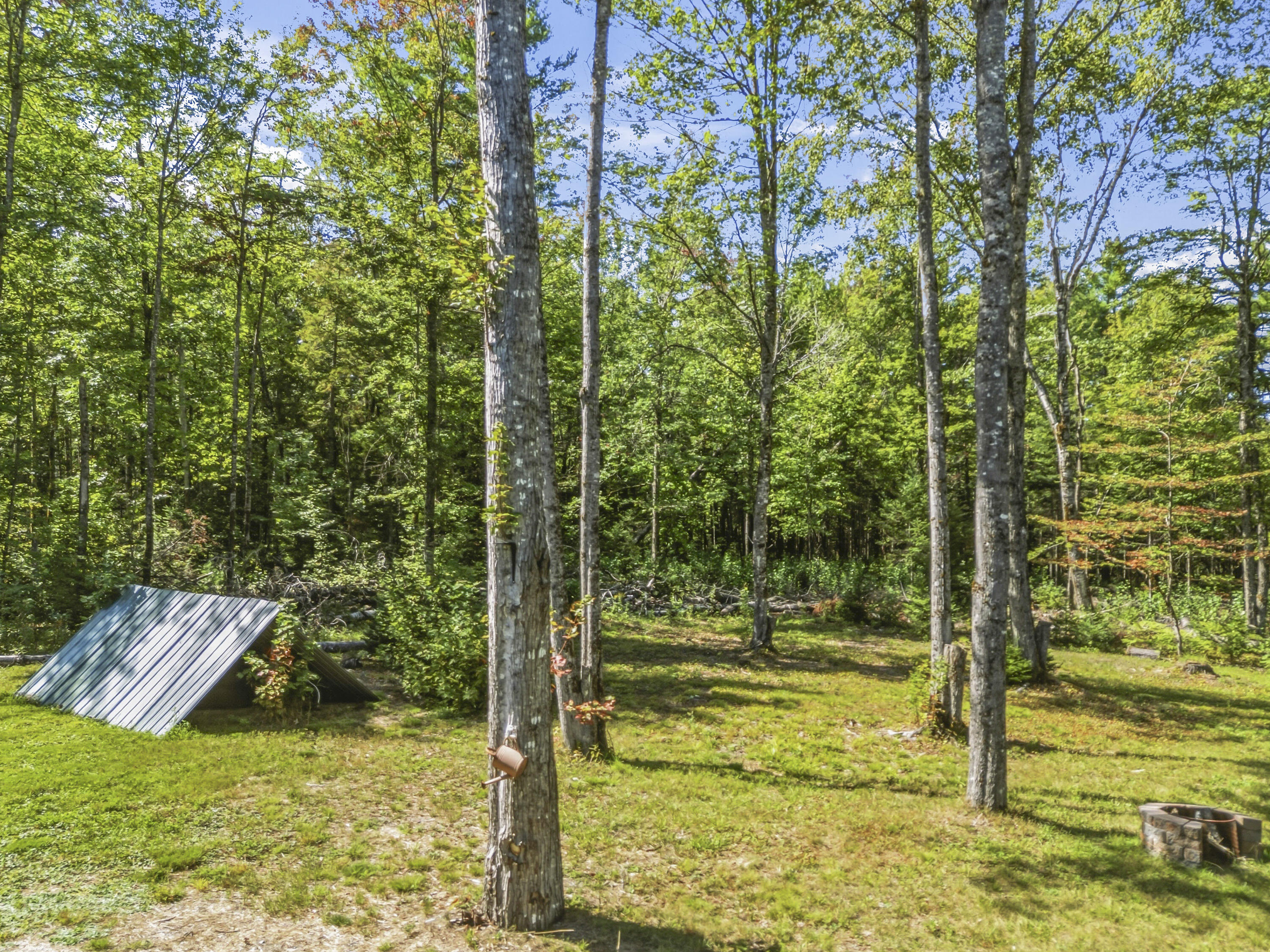 445 Big Bunker Hill Road