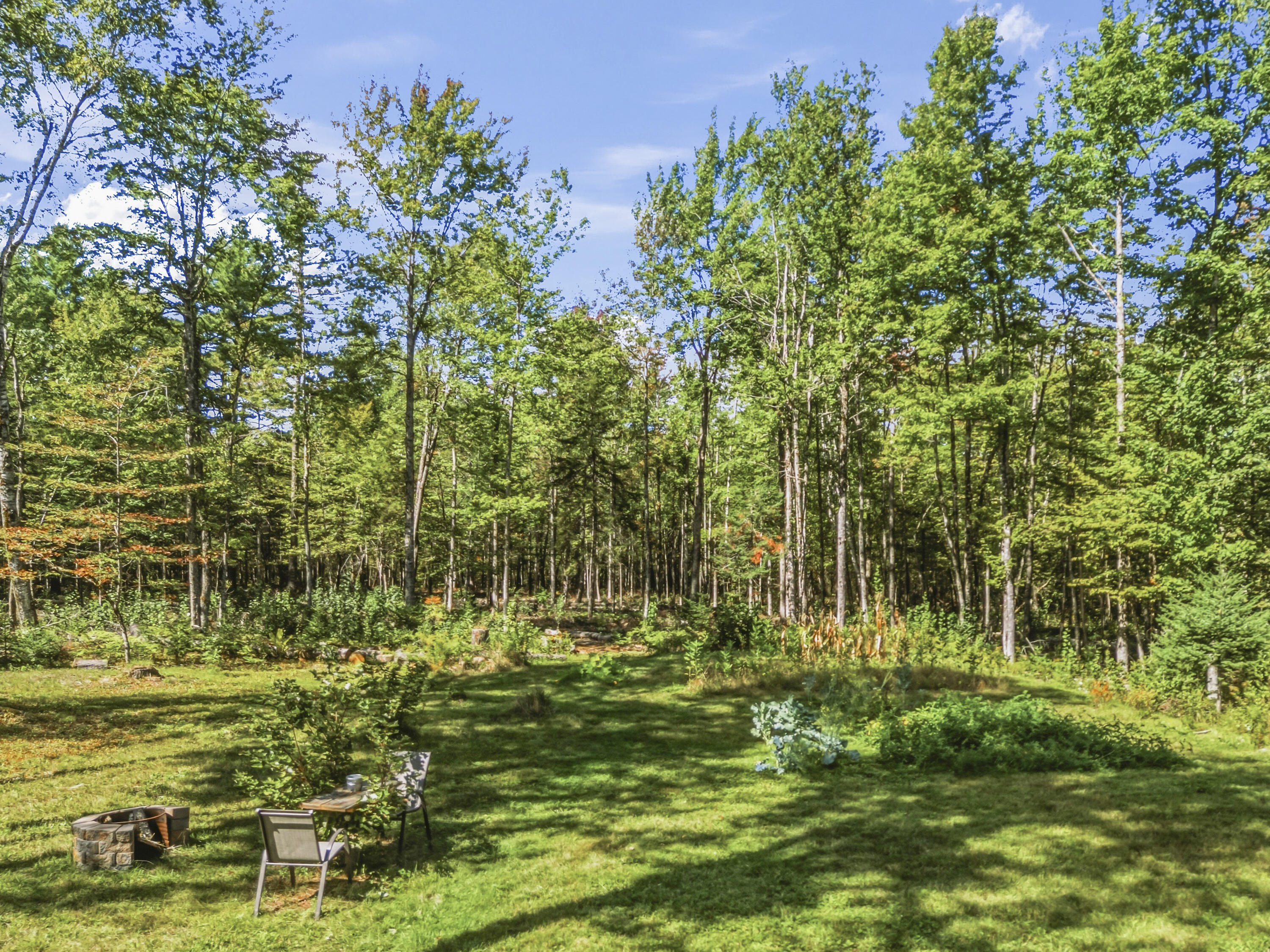 445 Big Bunker Hill Road