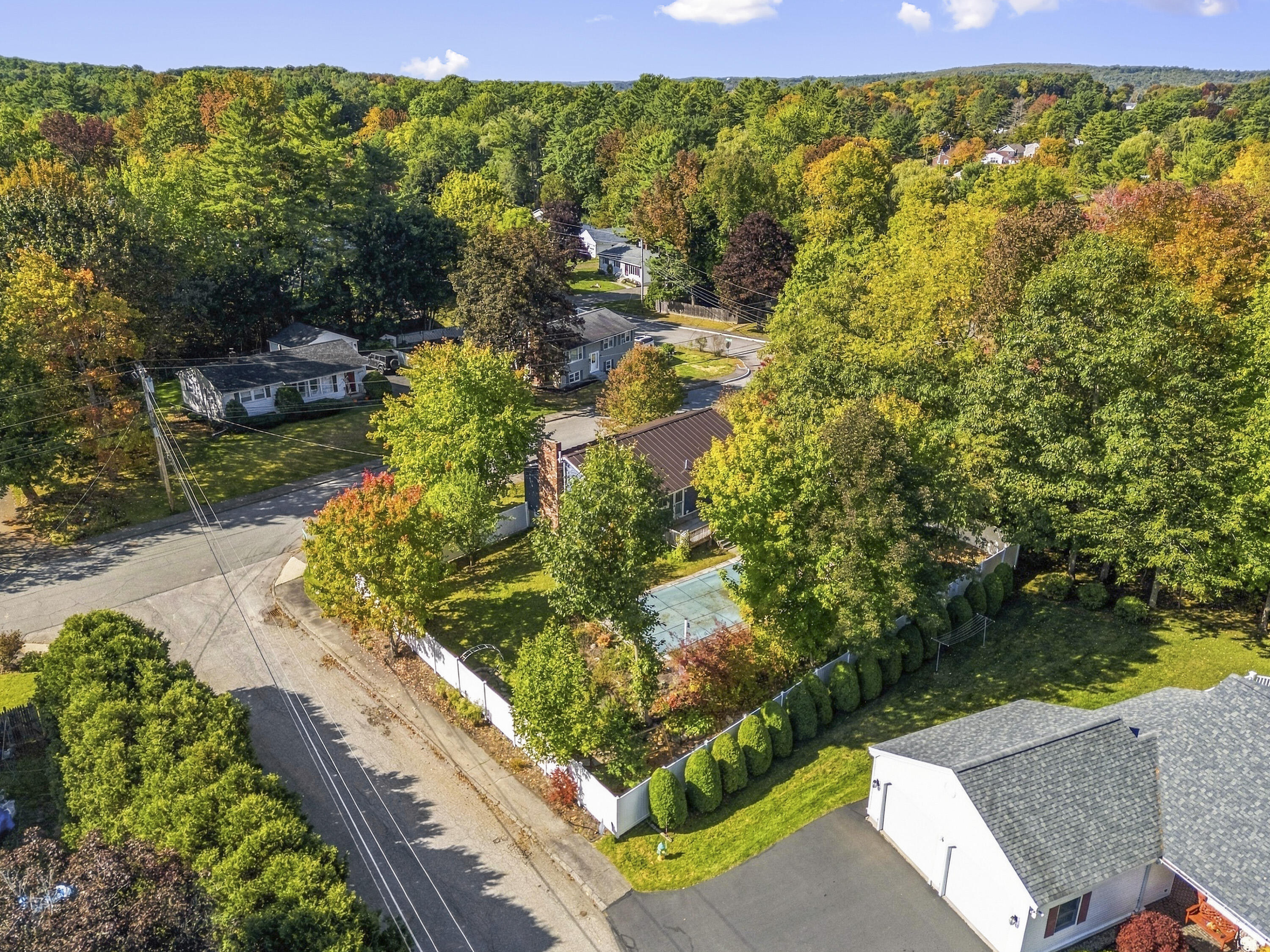 81 Windsor Avenue