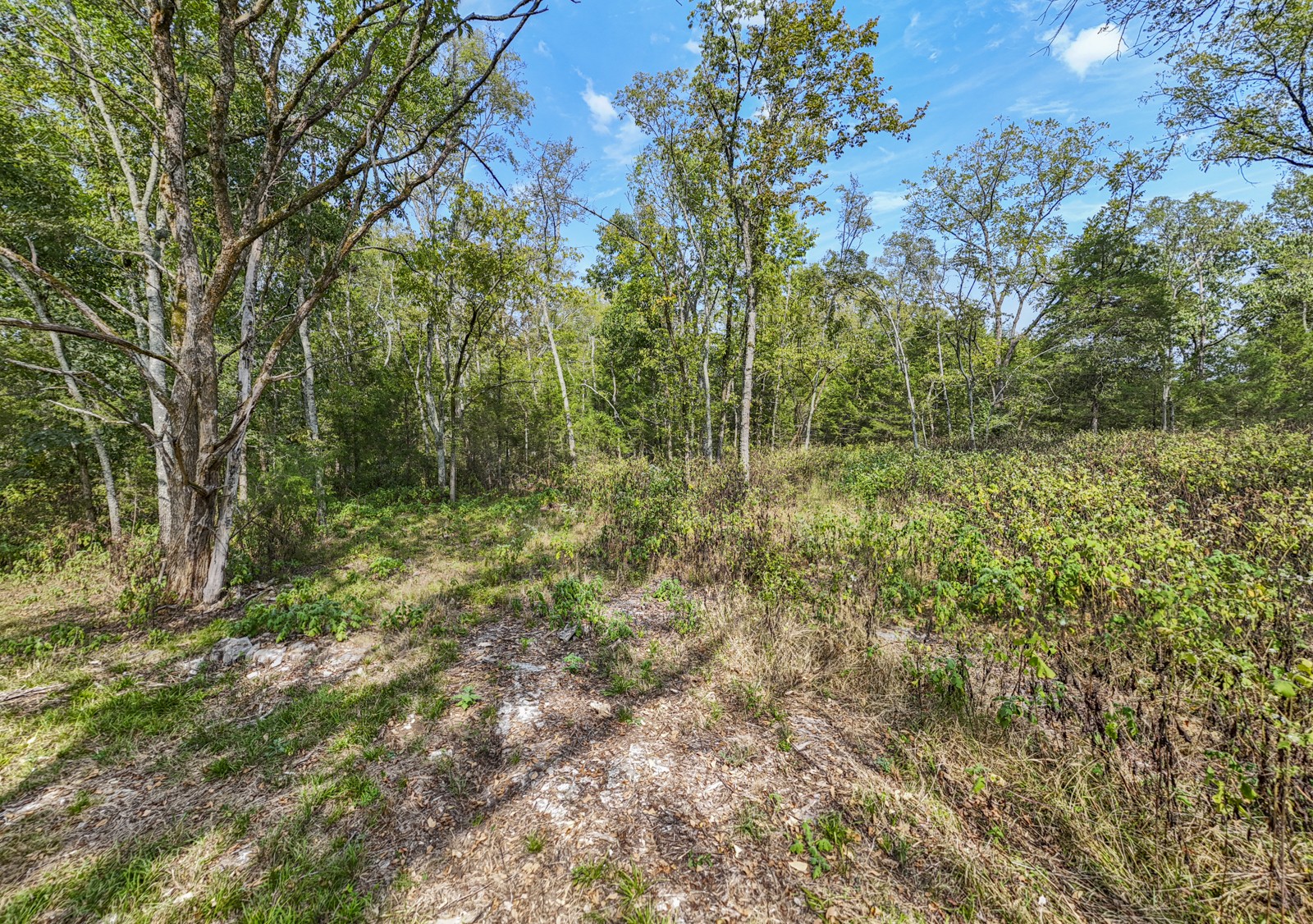 8546 Taliaferro Rd