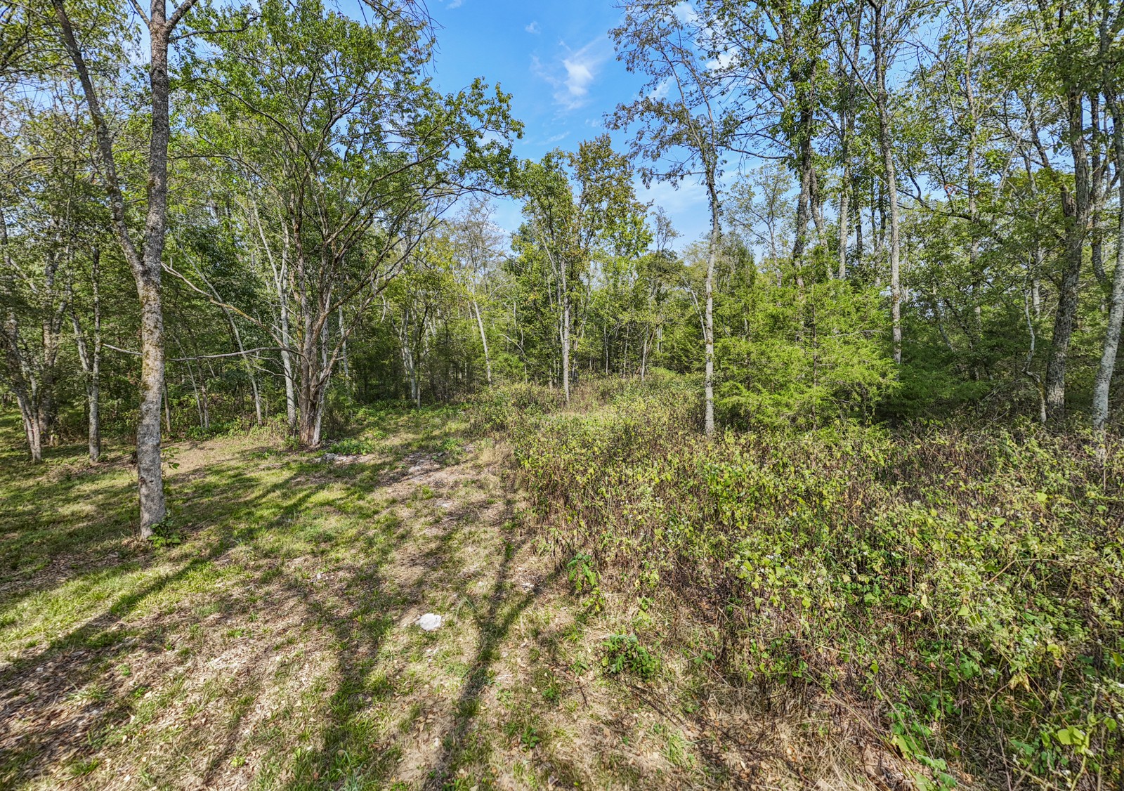 8546 Taliaferro Rd