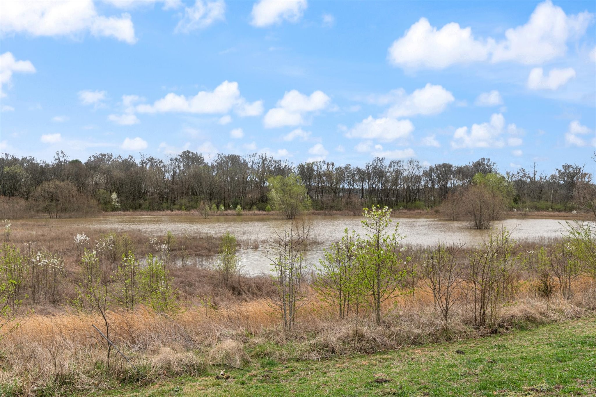 4986 Morning Dove Ln