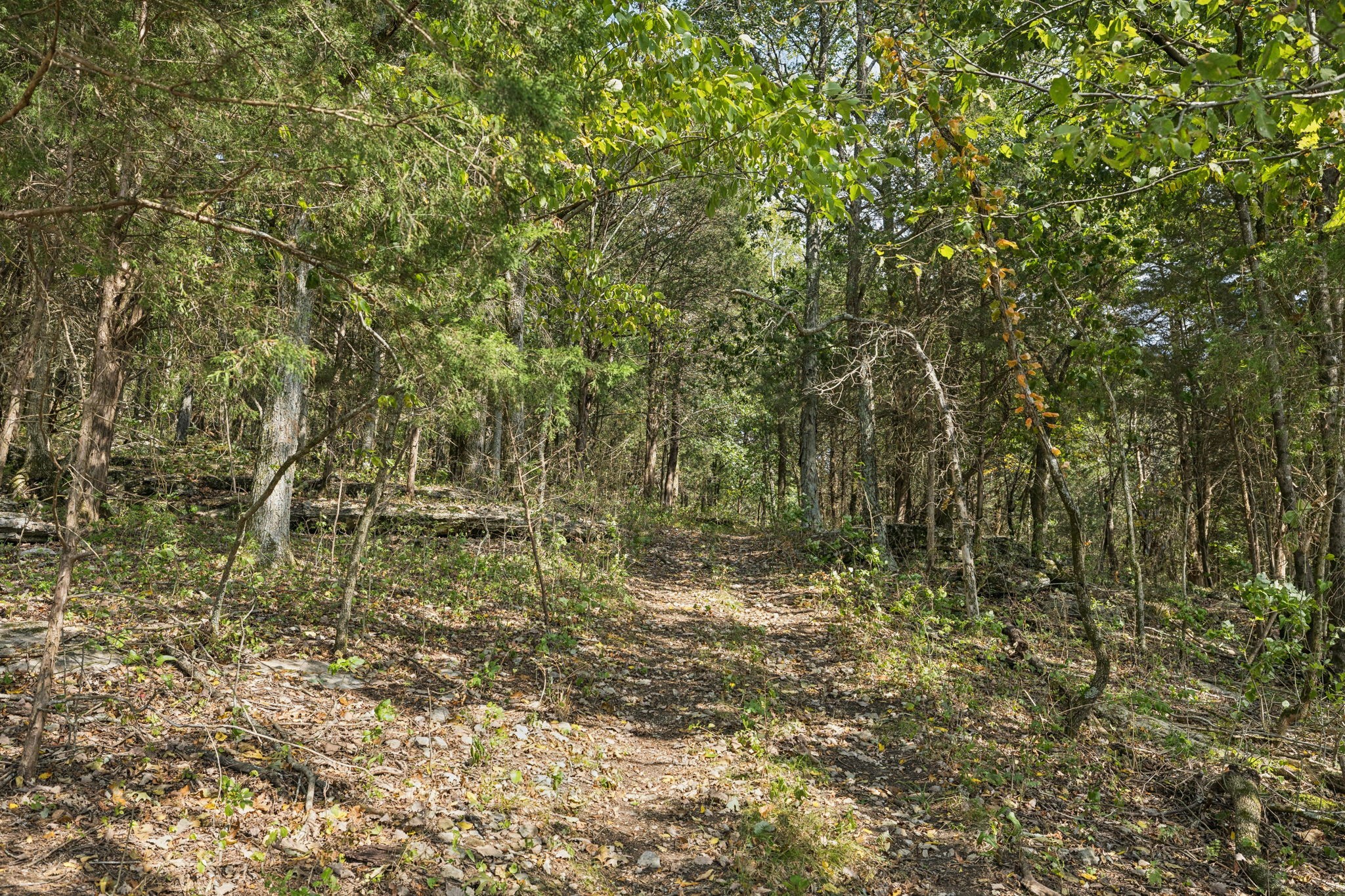 6938 Arno Allisona Rd