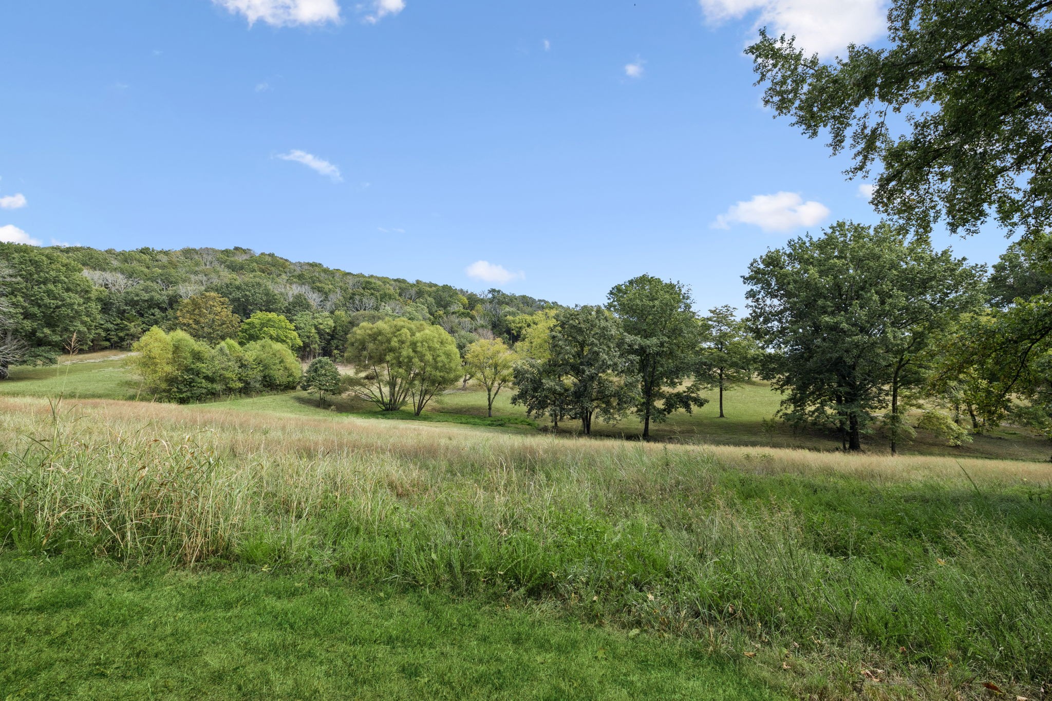 6938 Arno Allisona Rd