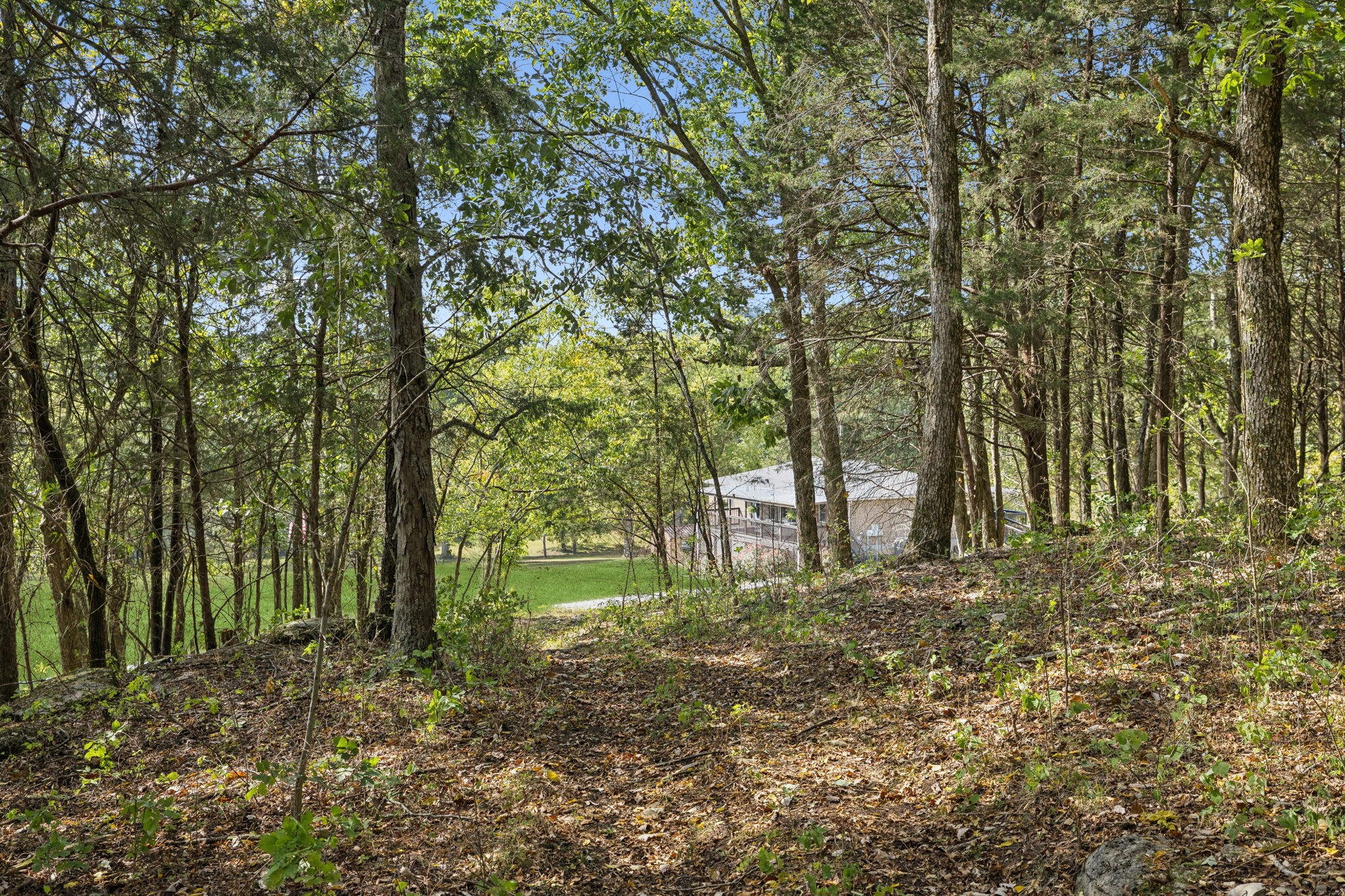 6938 Arno Allisona Rd