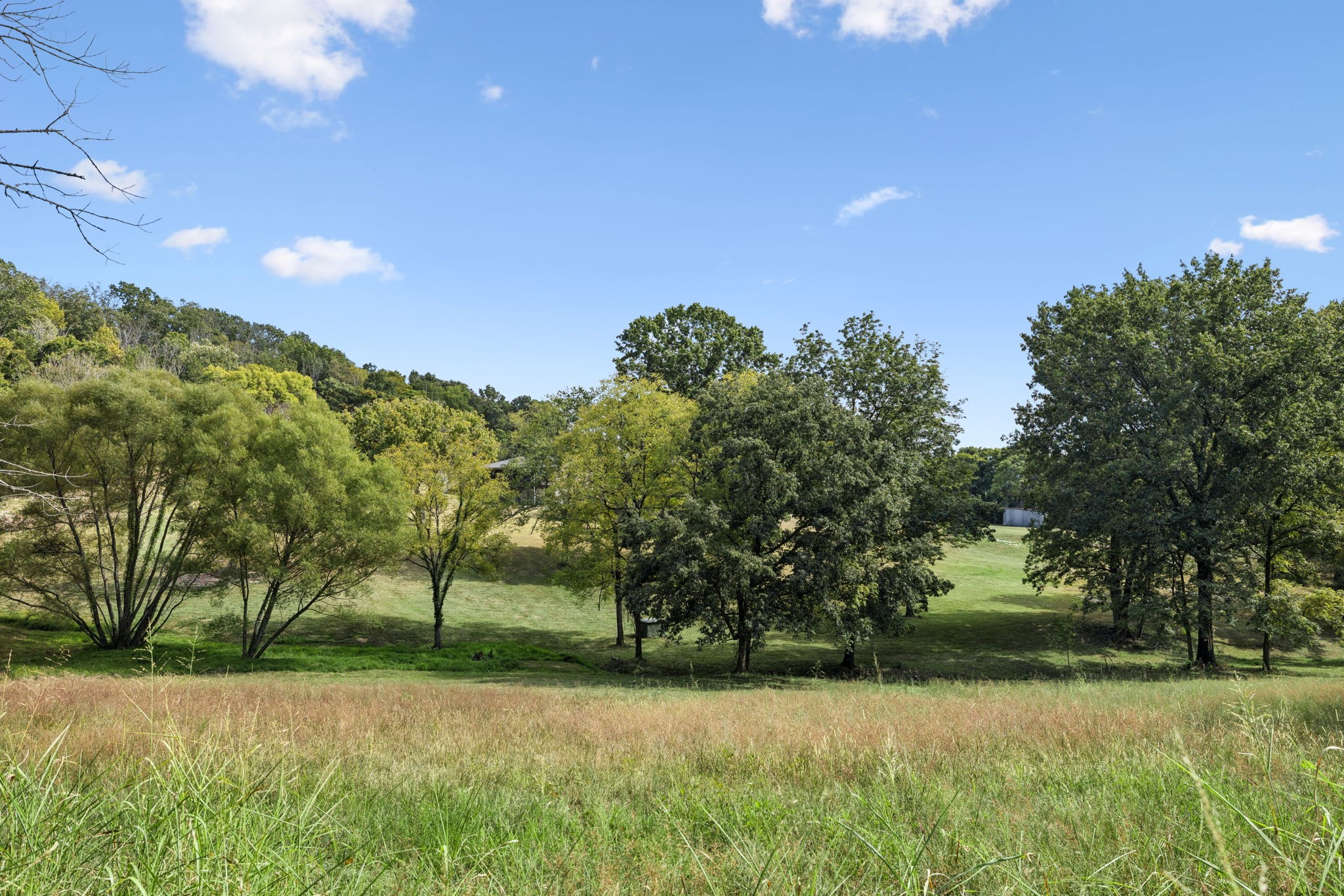 6938 Arno Allisona Rd