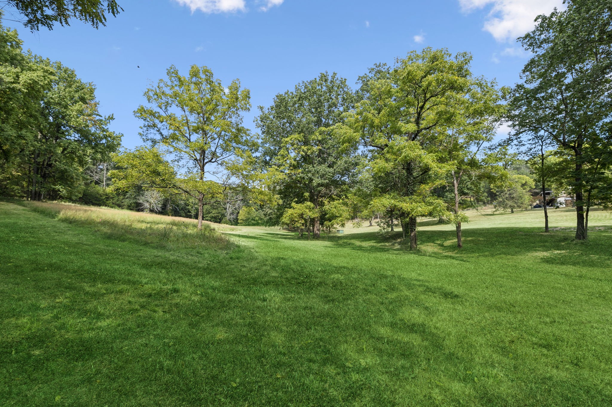 6938 Arno Allisona Rd