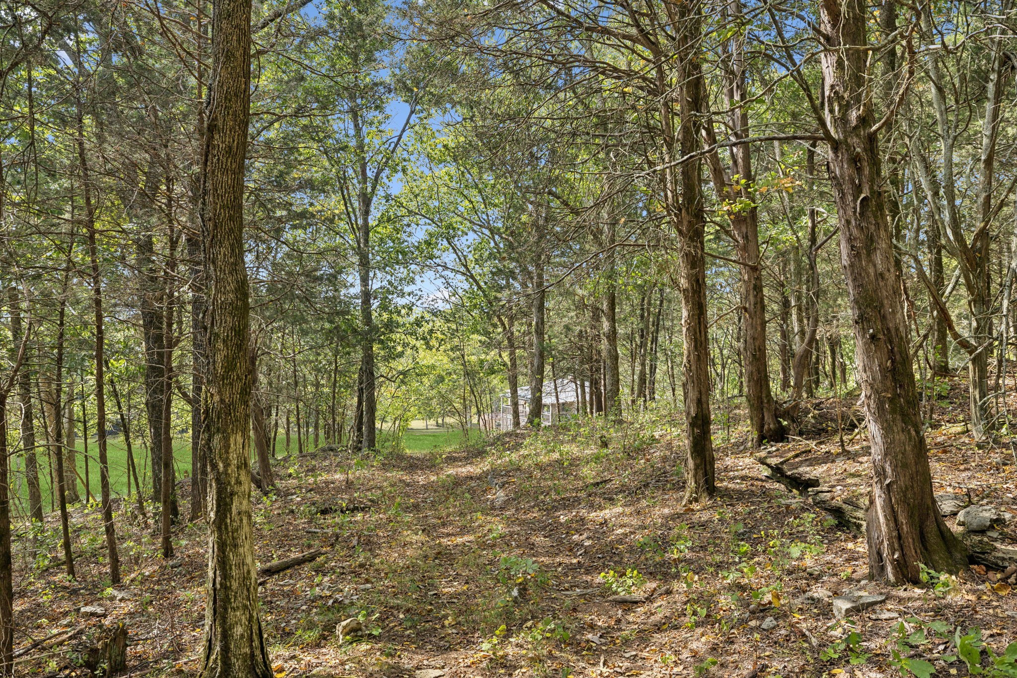 6938 Arno Allisona Rd