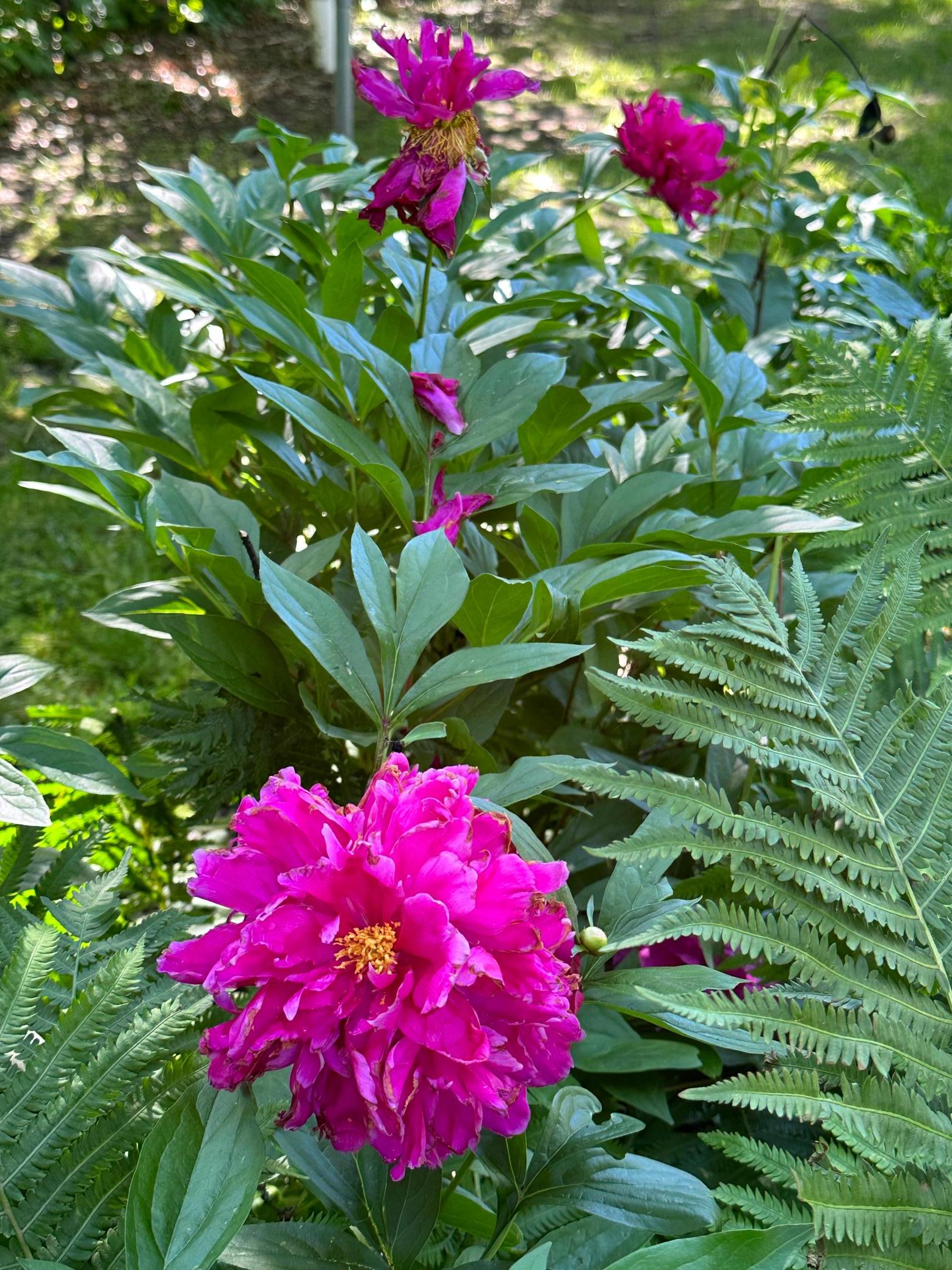 12571 Arrowhead Lane