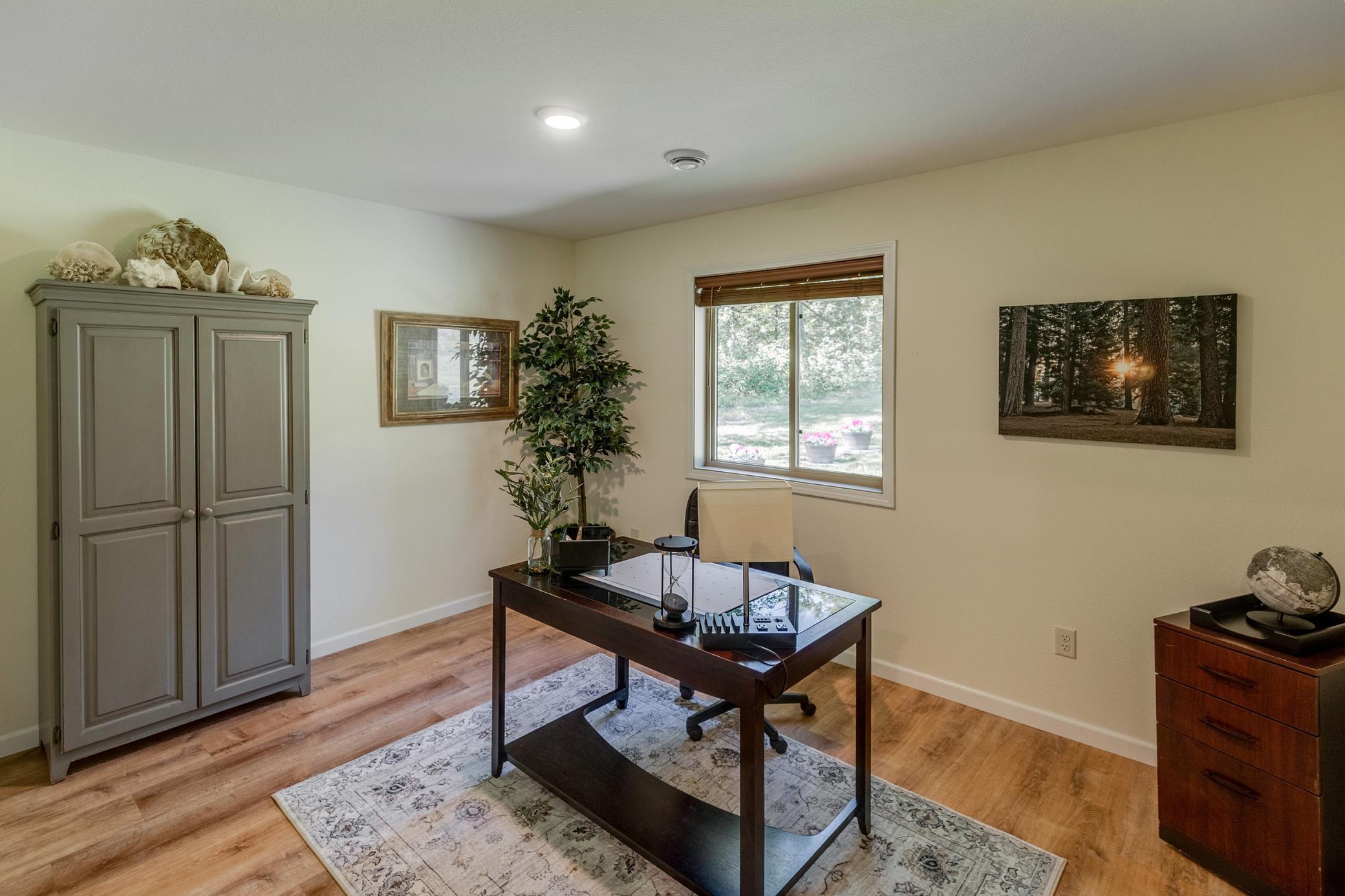 31041 Spring Loop
