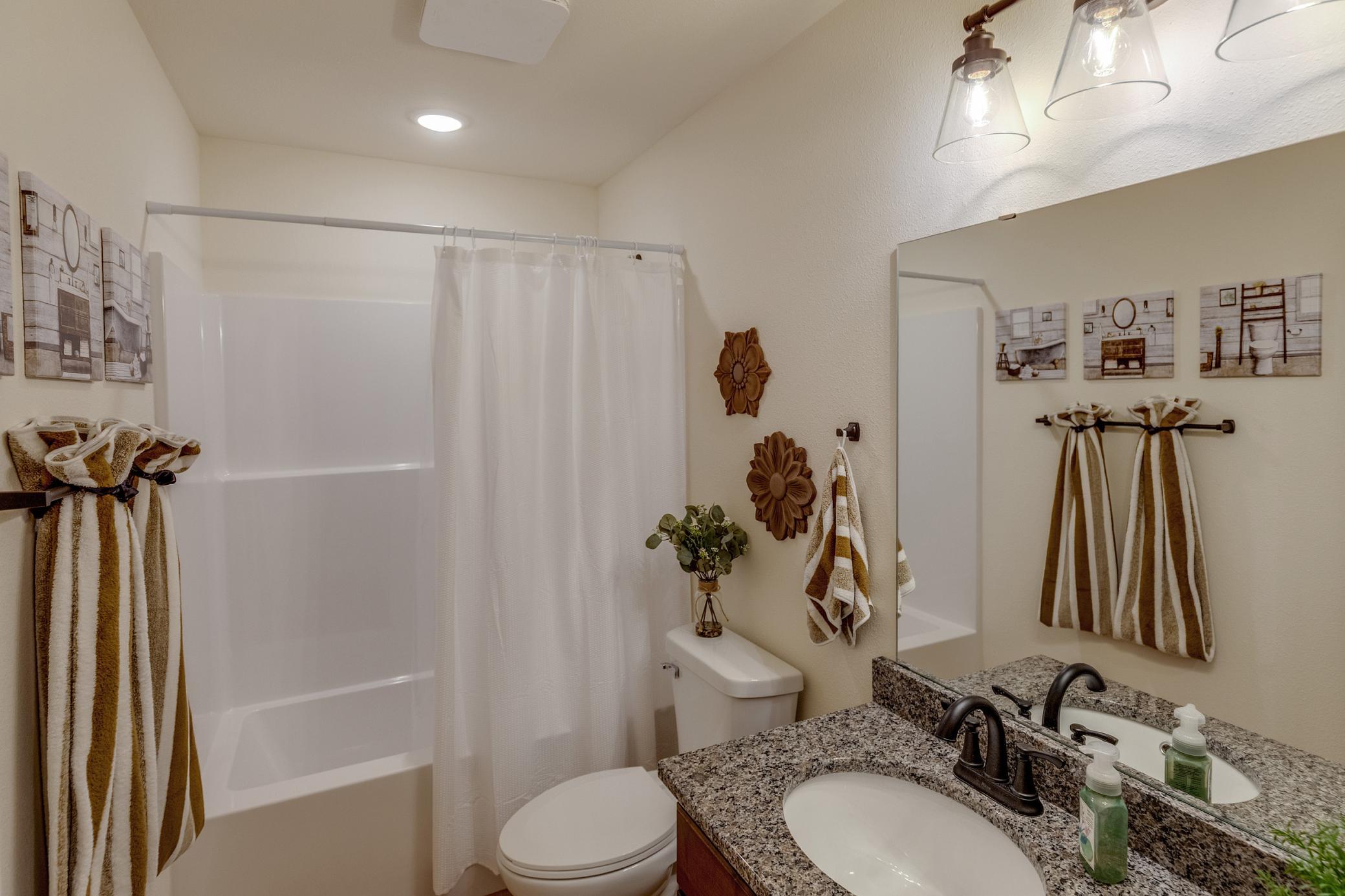 31041 Spring Loop