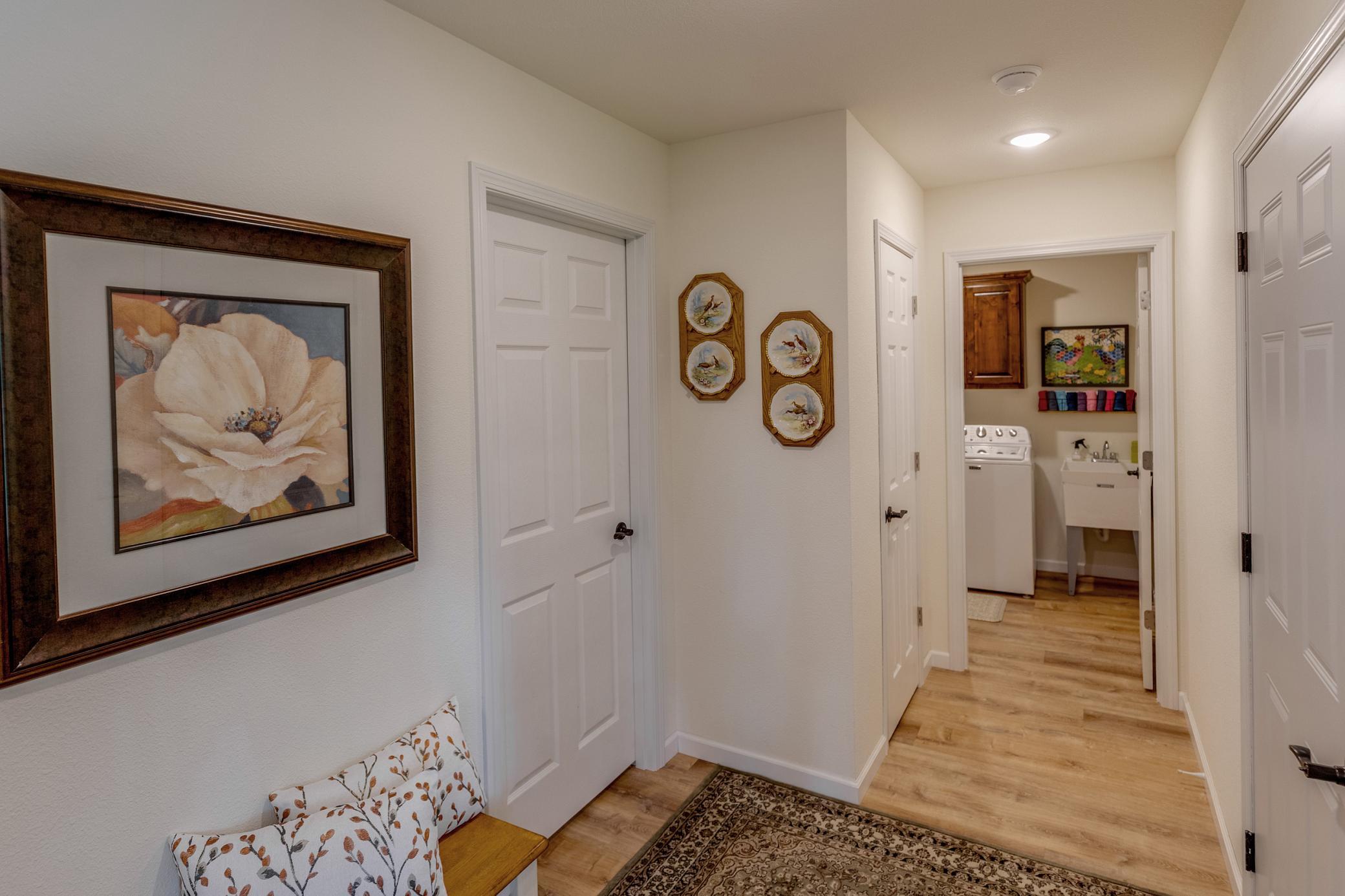 31041 Spring Loop