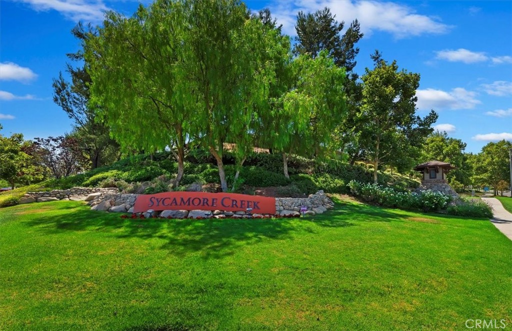 25806 Dove Street