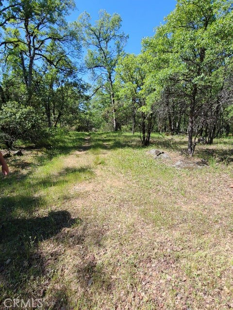 0 Rocky Oaks