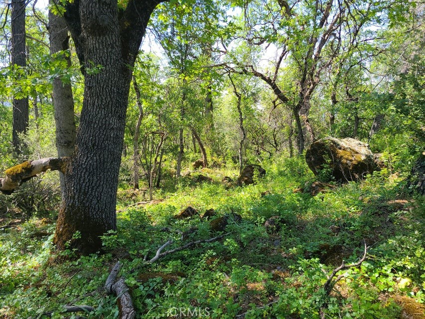 0 Rocky Oaks
