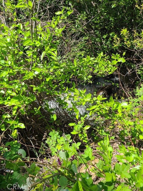 0 Rocky Oaks
