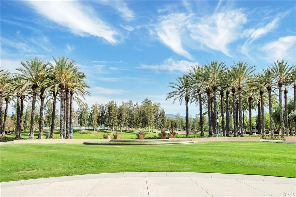 51 Mira Mesa