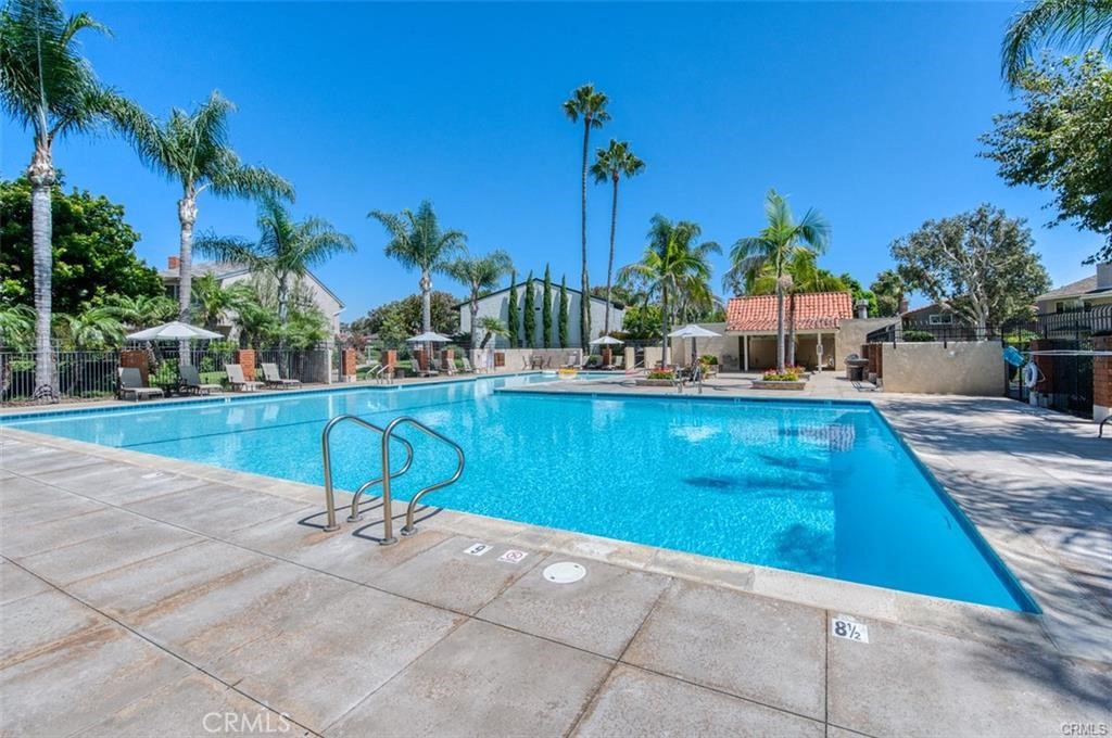 310 Vista Trucha