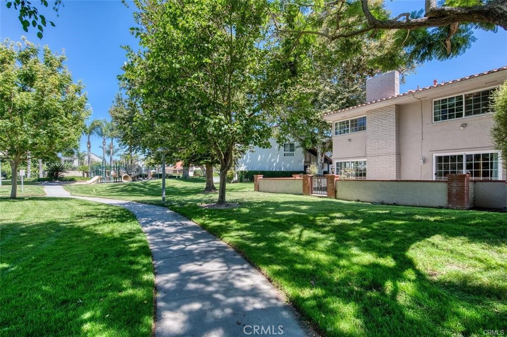 310 Vista Trucha