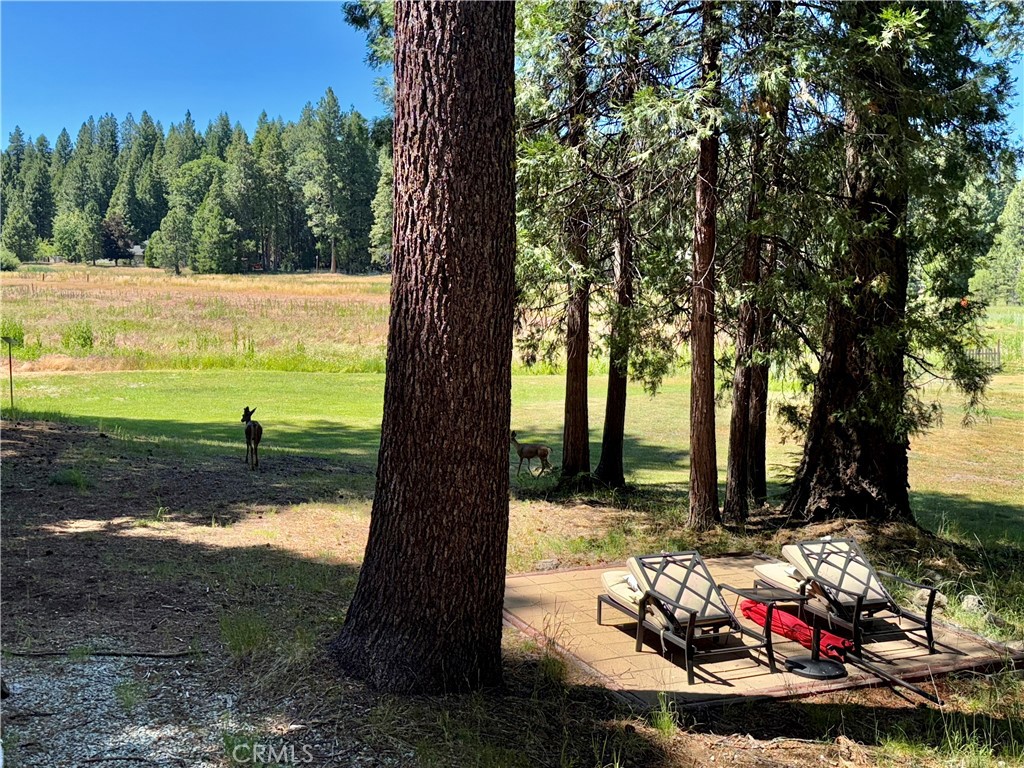 9312 Mountain Meadow Road