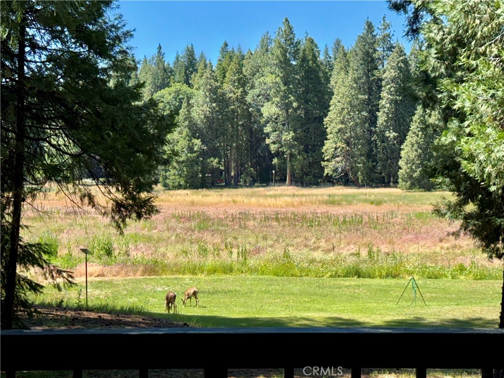 9312 Mountain Meadow Road