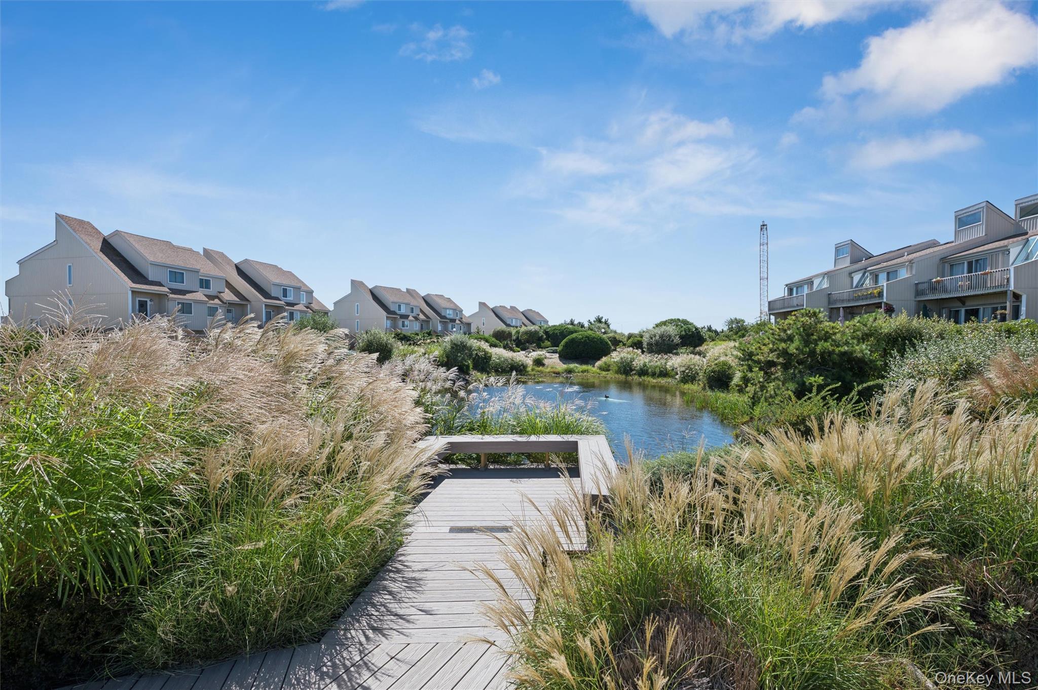 Boardwalk through tall grasses leads to a pond between rows of townhouses.