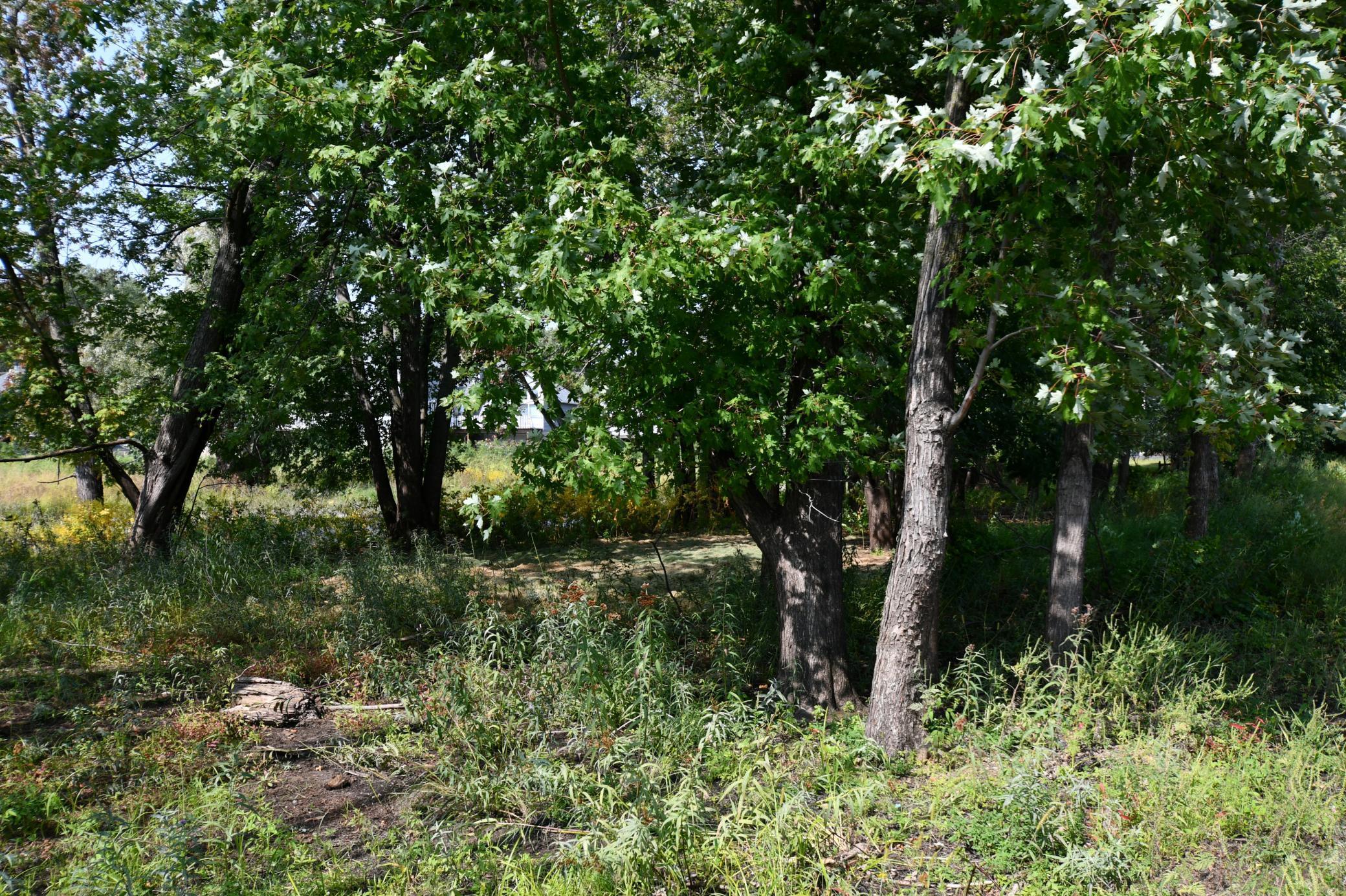 530 Lakeside Bay Drive S