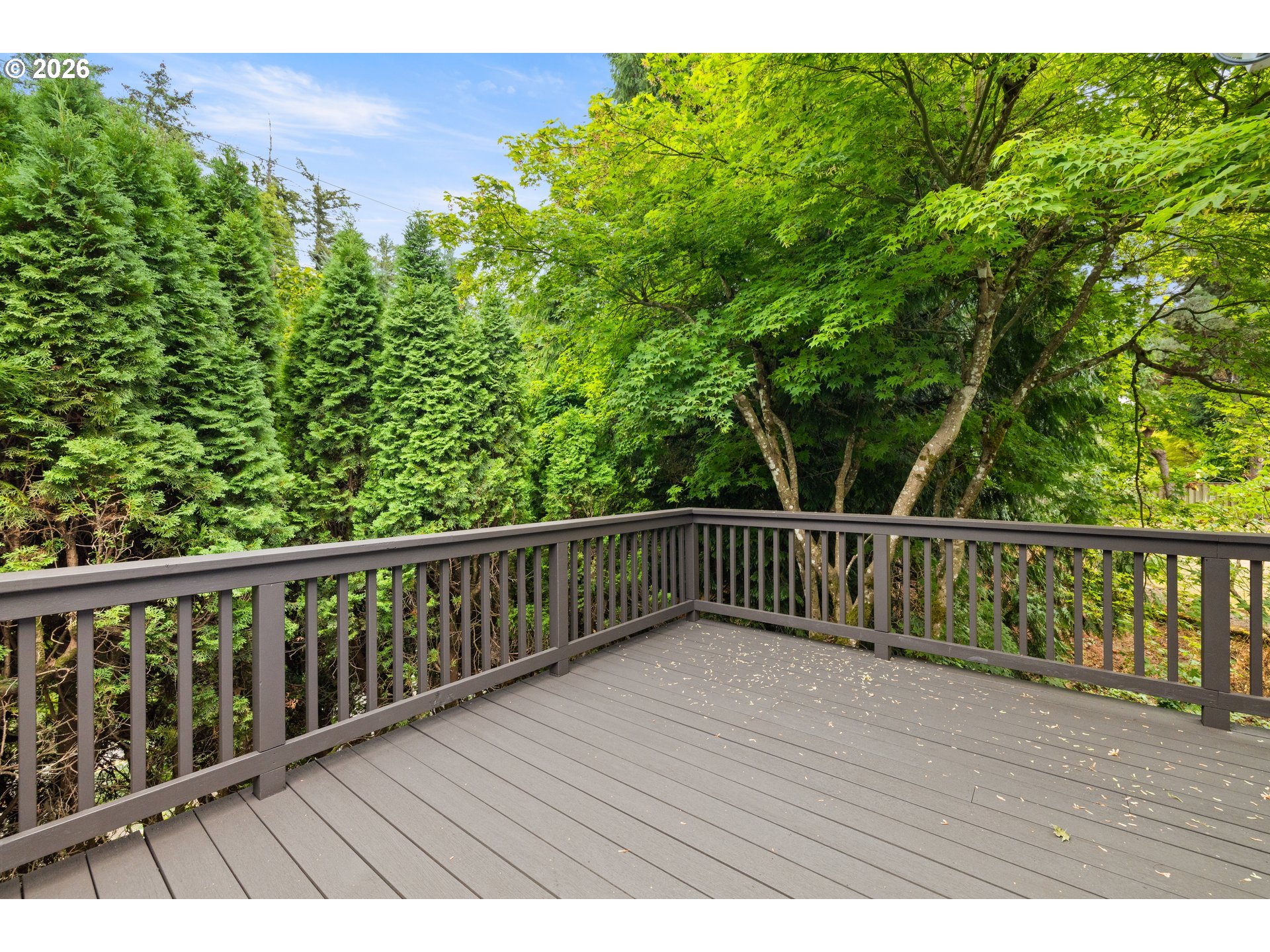 Gray deck with dark railings overlooking dense green trees.