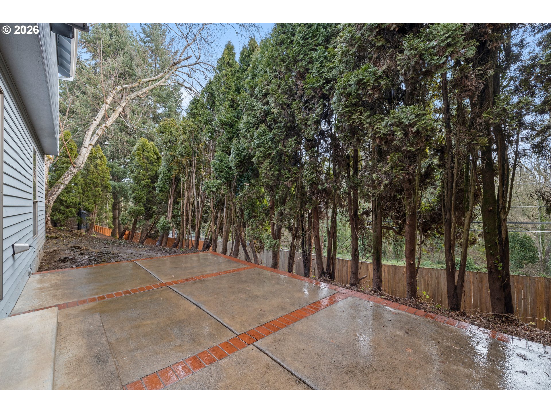 Concrete patio beside the house, with red brick edging and a tall evergreen screen along the fence.