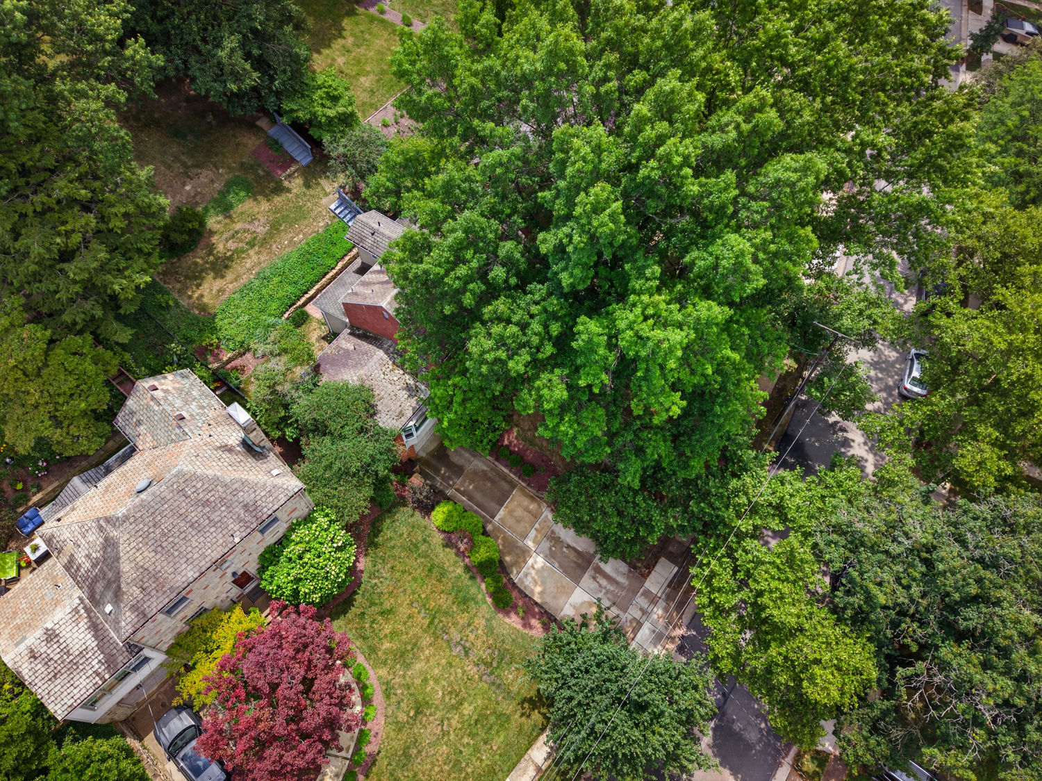 161 Woodhaven DRIVE