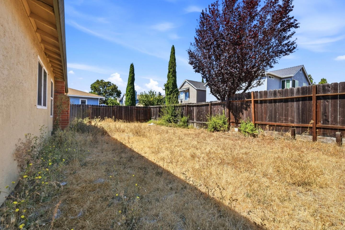 62 Mosswood DR