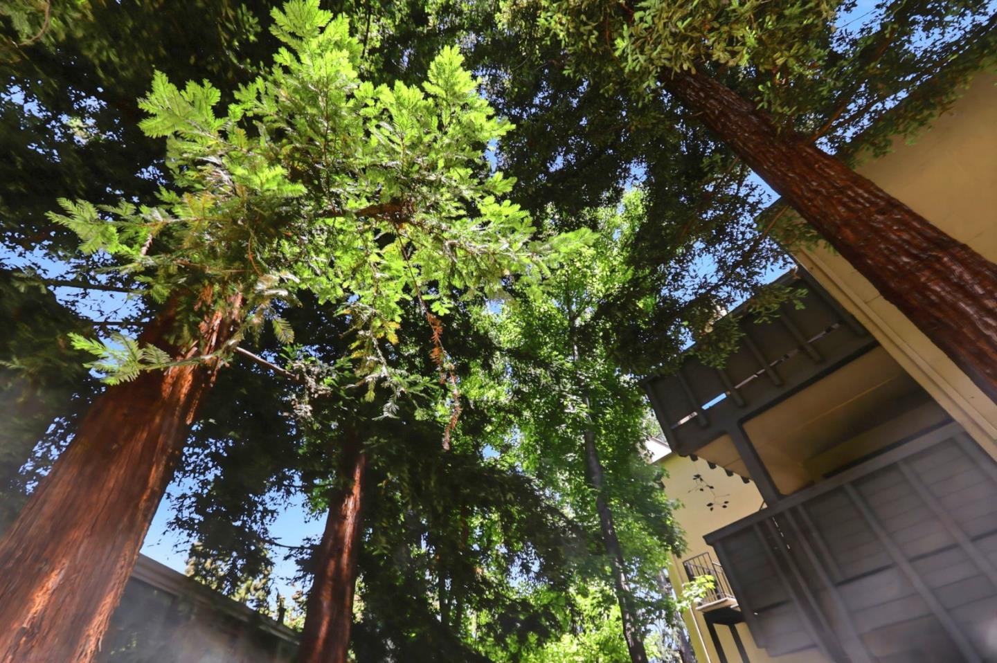 5232 Makati Circle