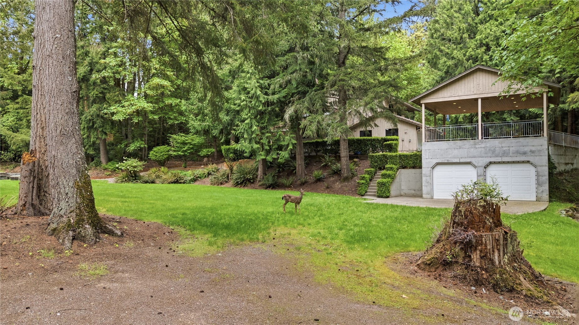 24214 SE 18th Place