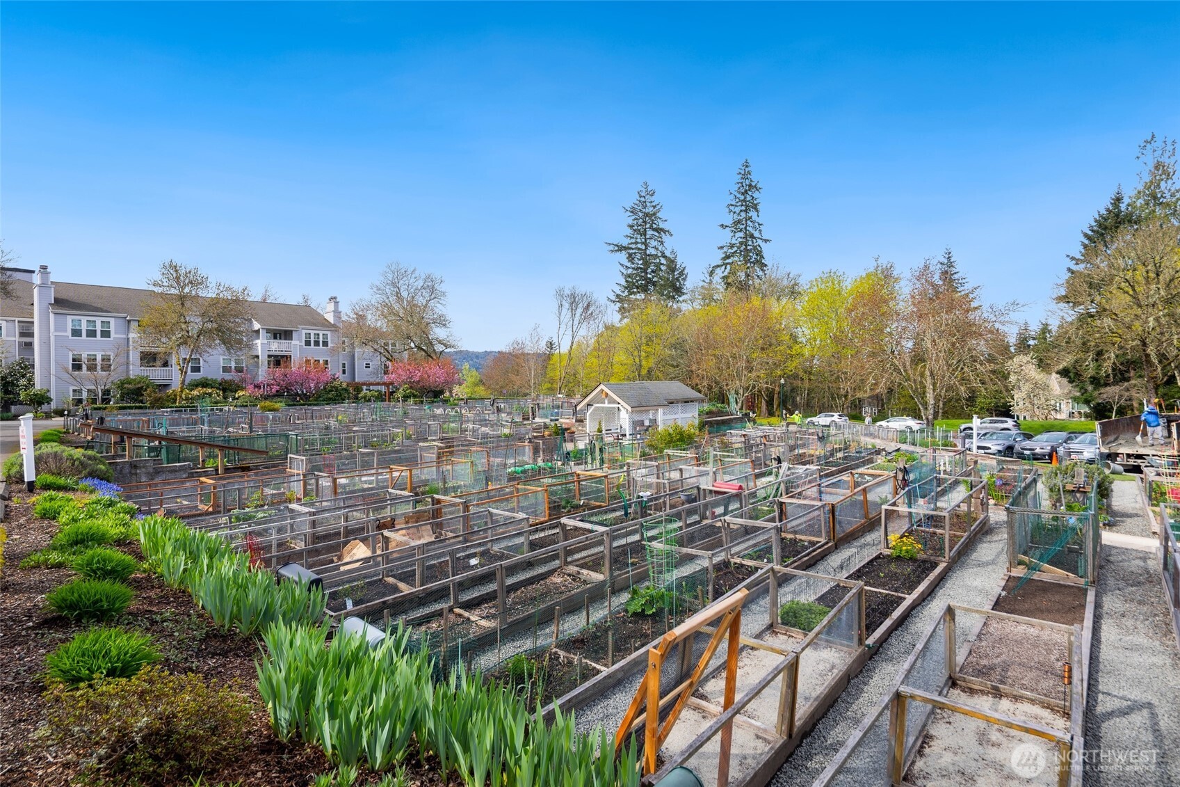 4084 220th Place SE Unit: 1038