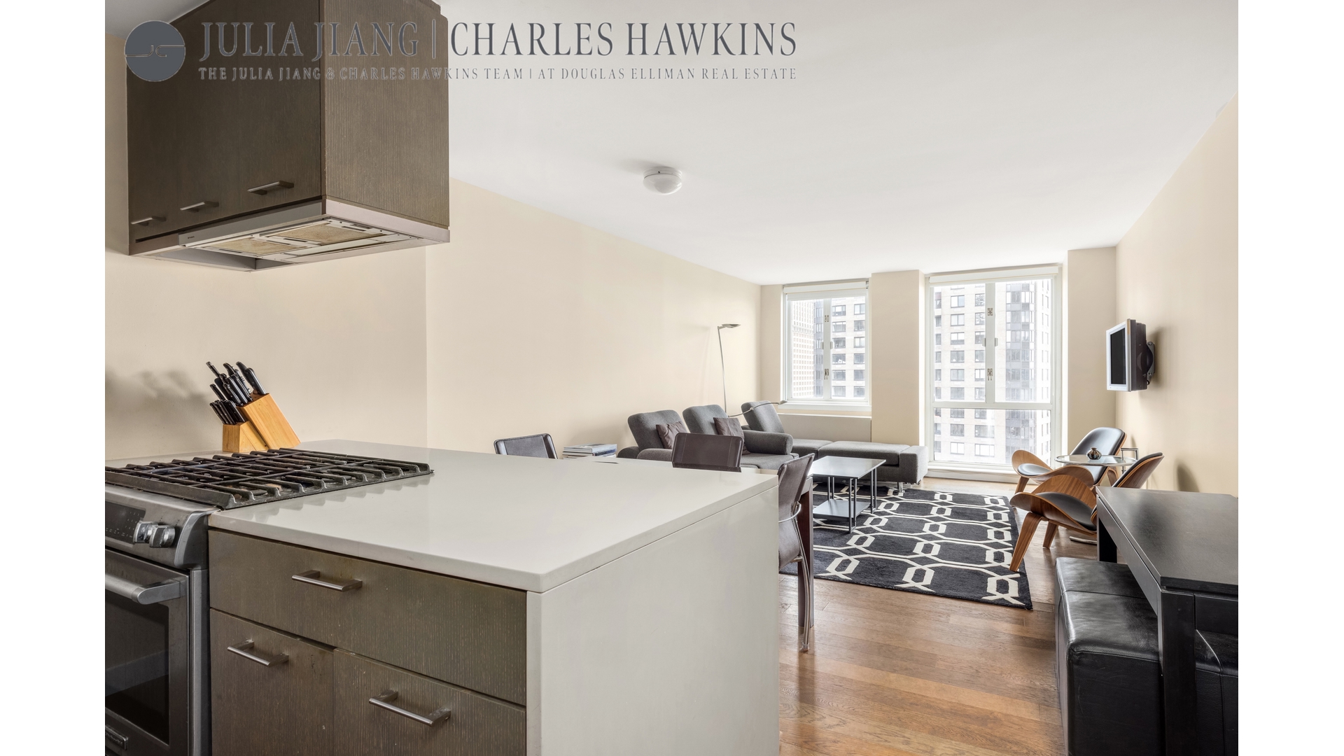 225 RECTOR Place 22E