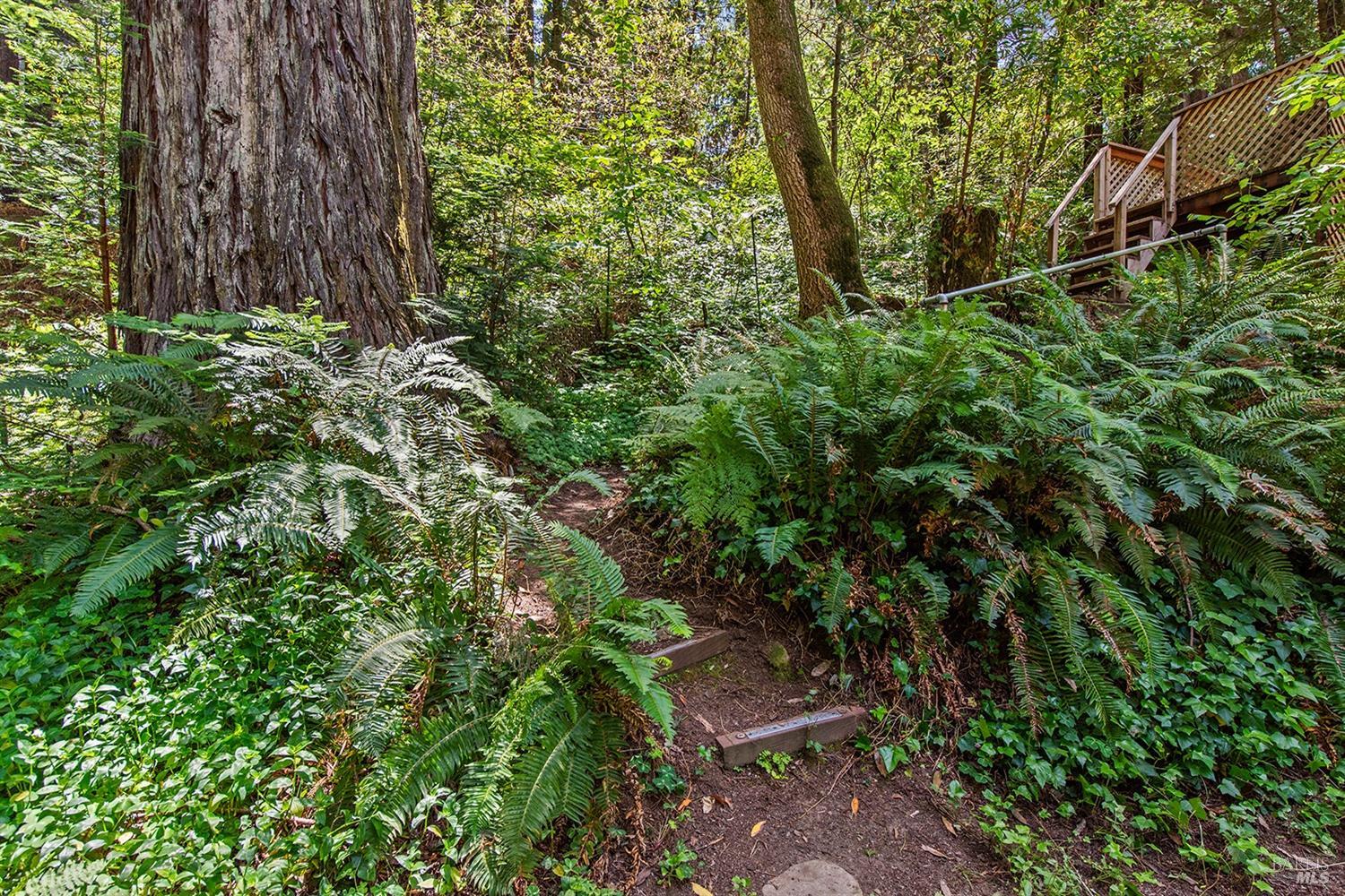 3585 Cazadero Hwy