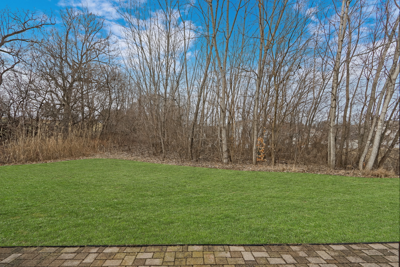6306 Burr Oaks Court Unit: 6306