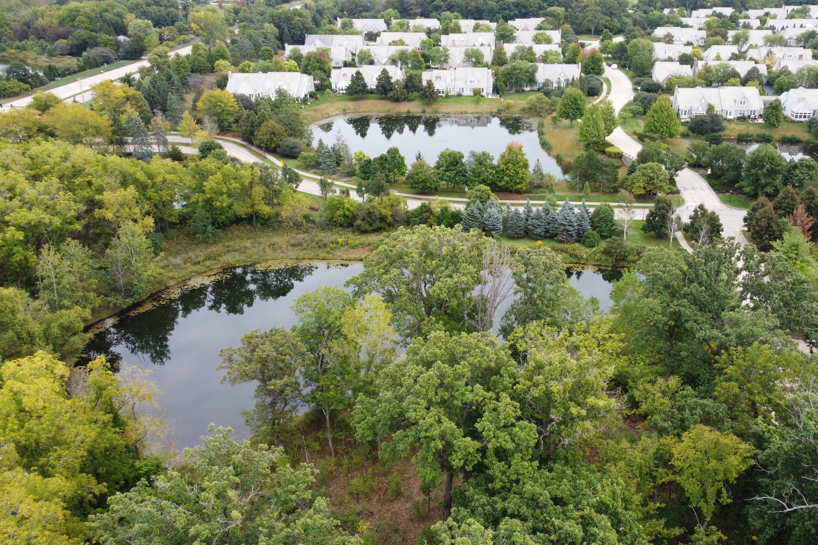 1800 Amberley Court Unit: 110