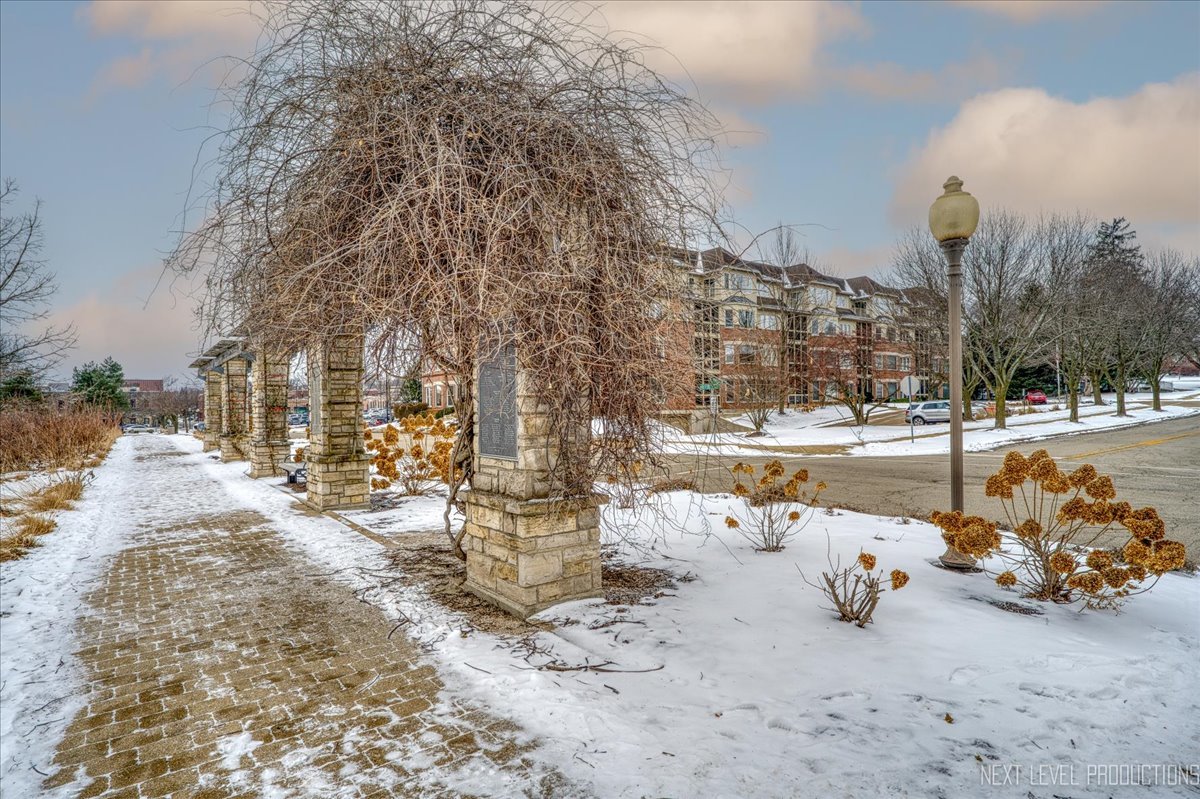 100 N River Lane Unit: 203