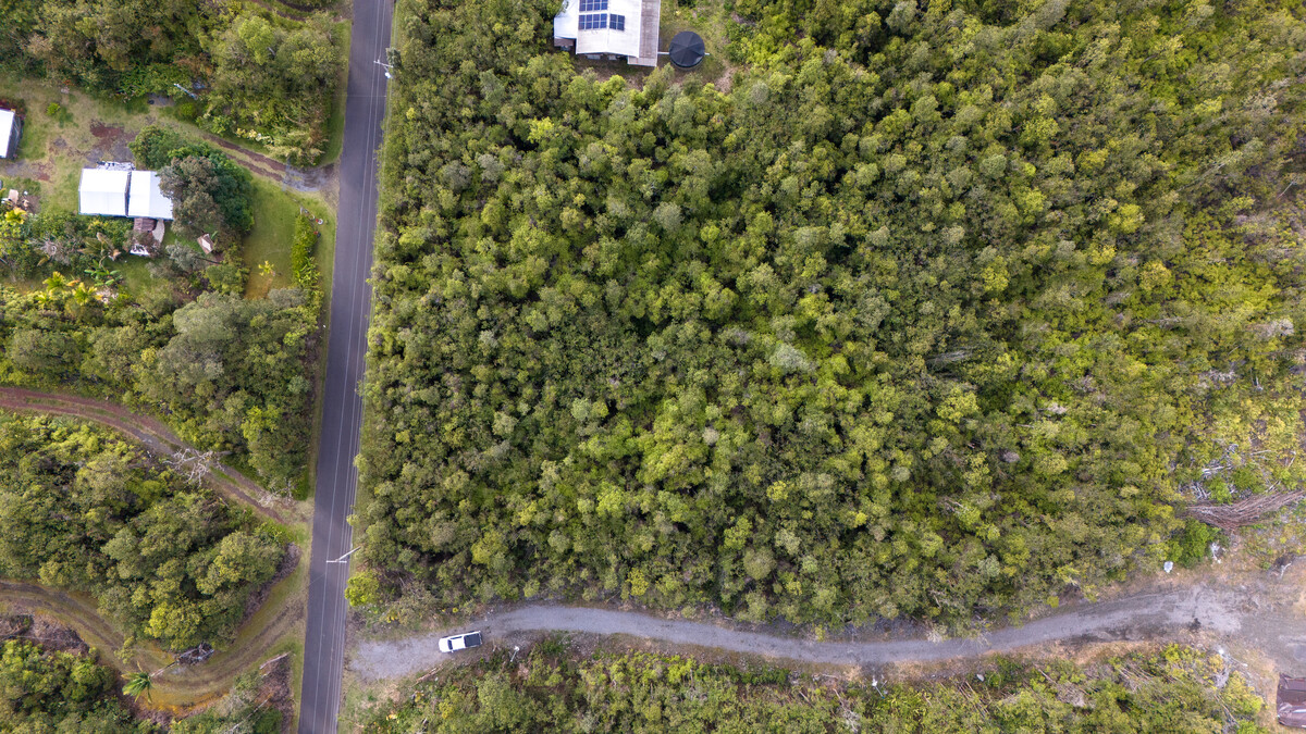 LEHUA ST