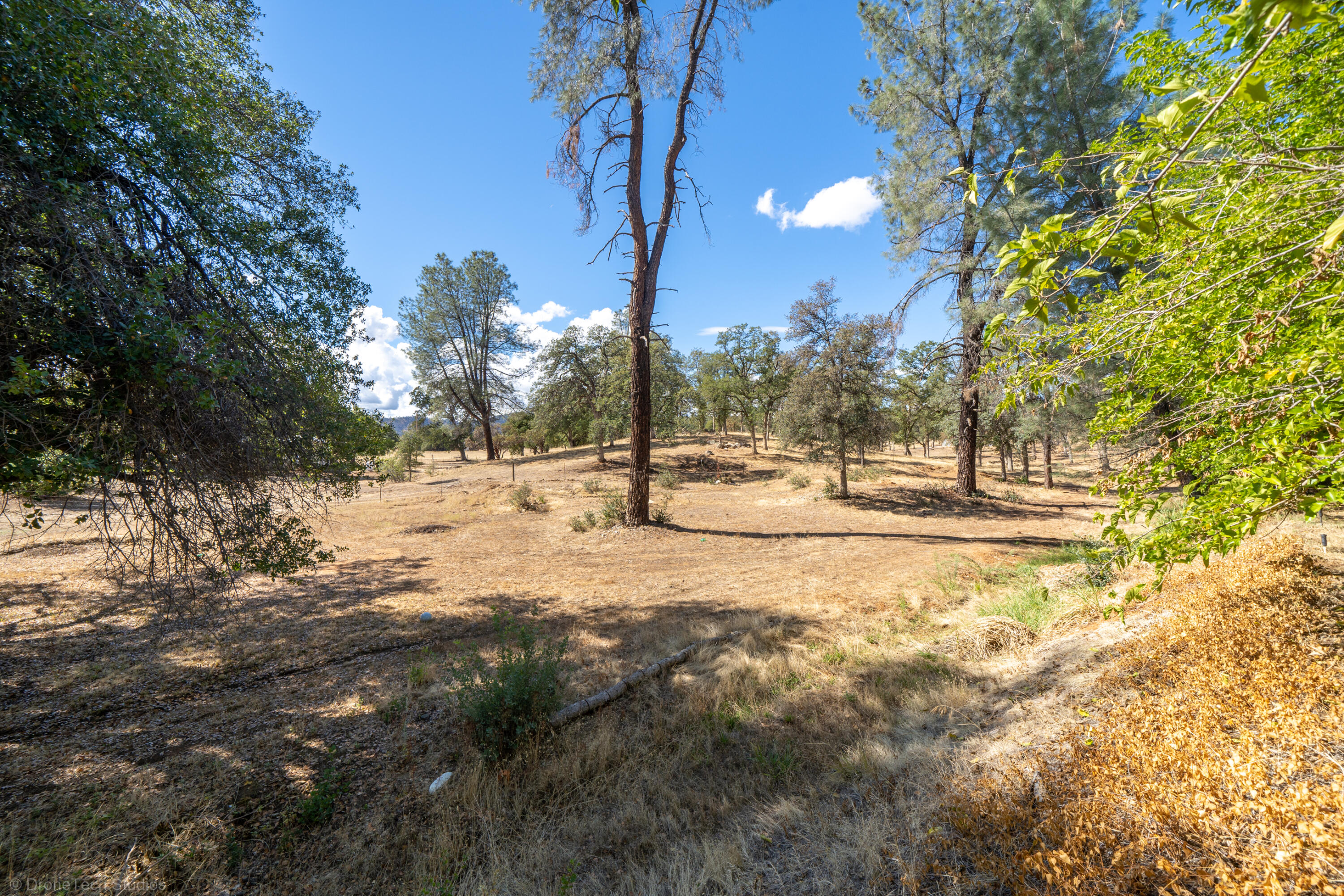9064 Placer Rd
