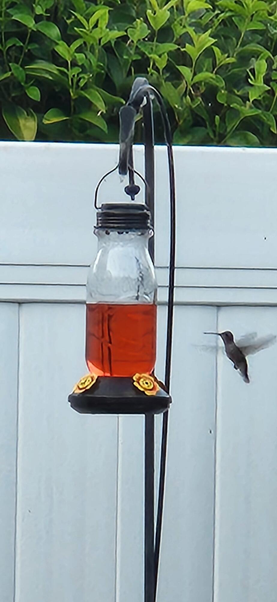 5475 Indianwood Drive