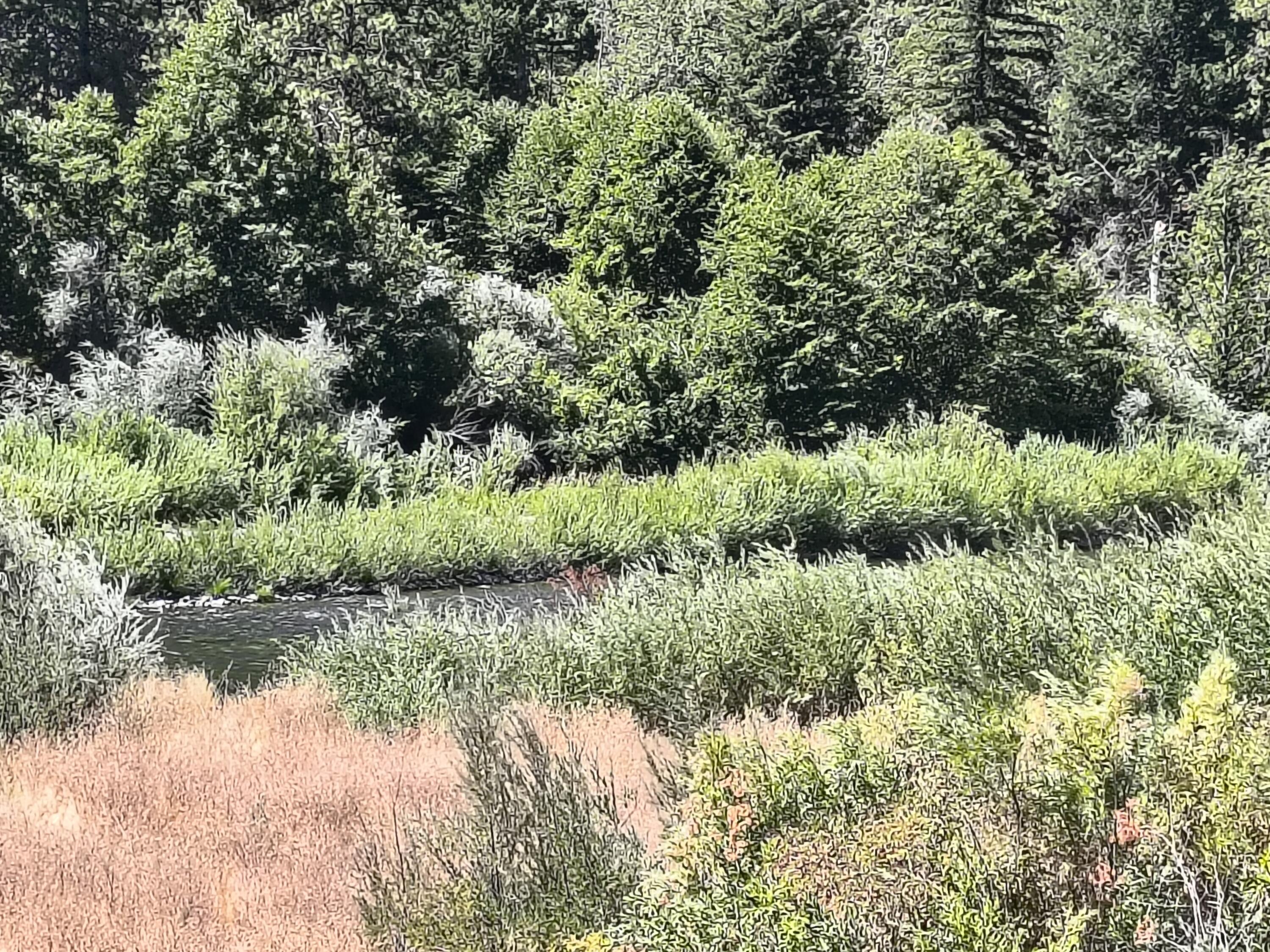 299W 299 West