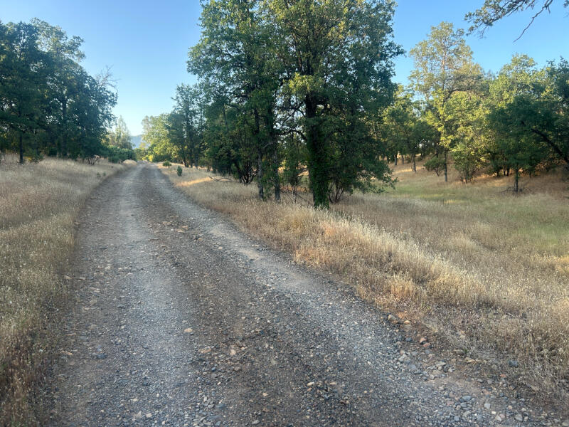 Wistful Vista Lane