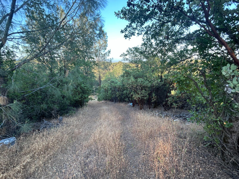 Wistful Vista Lane