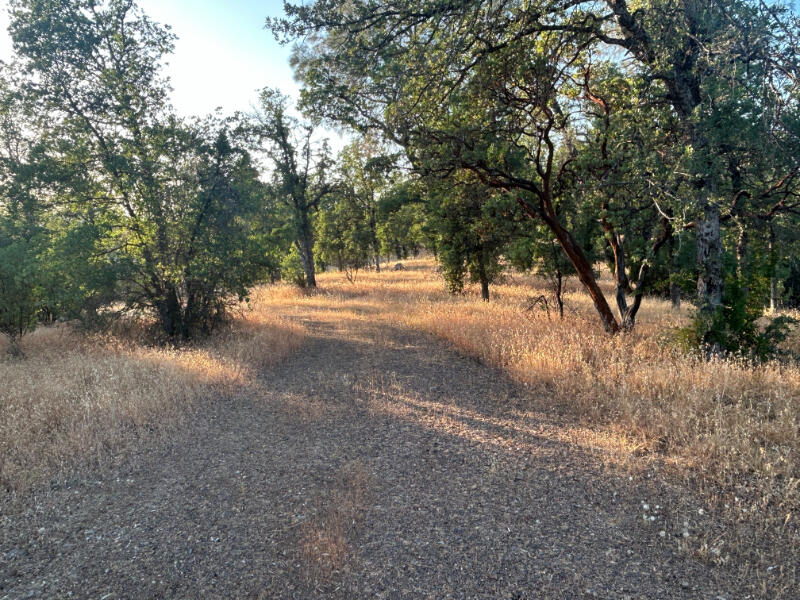 Wistful Vista Lane