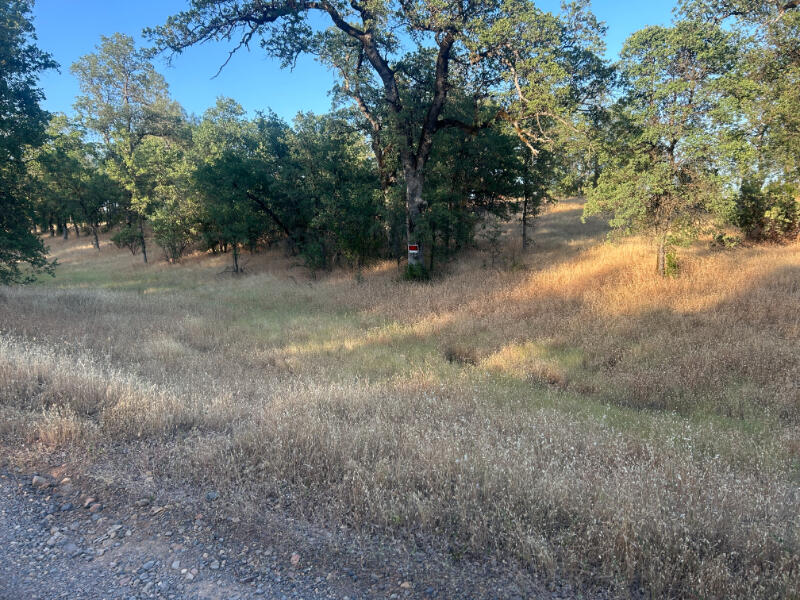Wistful Vista Lane